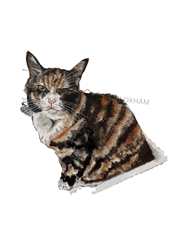 Poppy © Copyright Sophia Bloxham.png