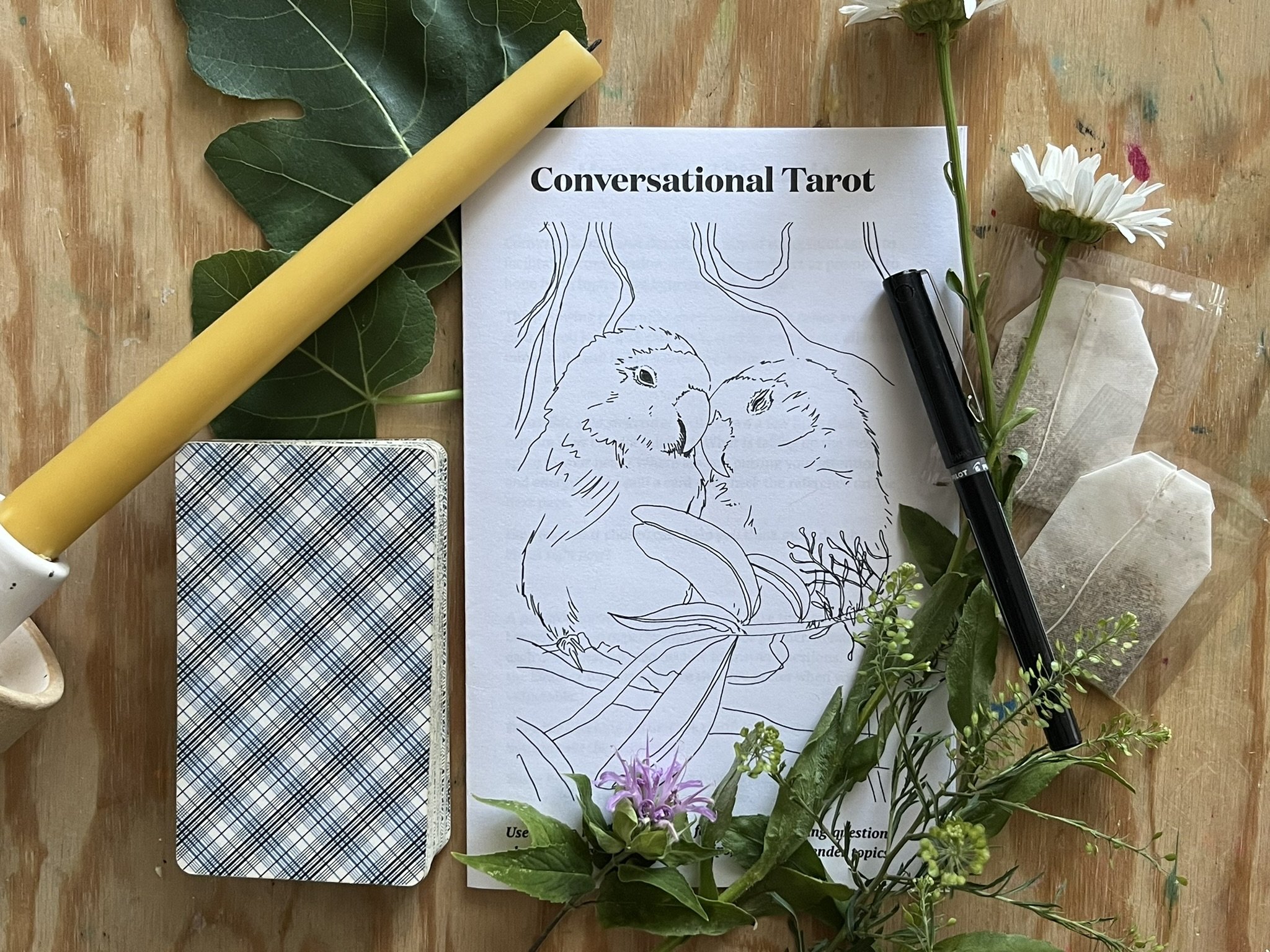 conversational - Natasha Blush.JPEG