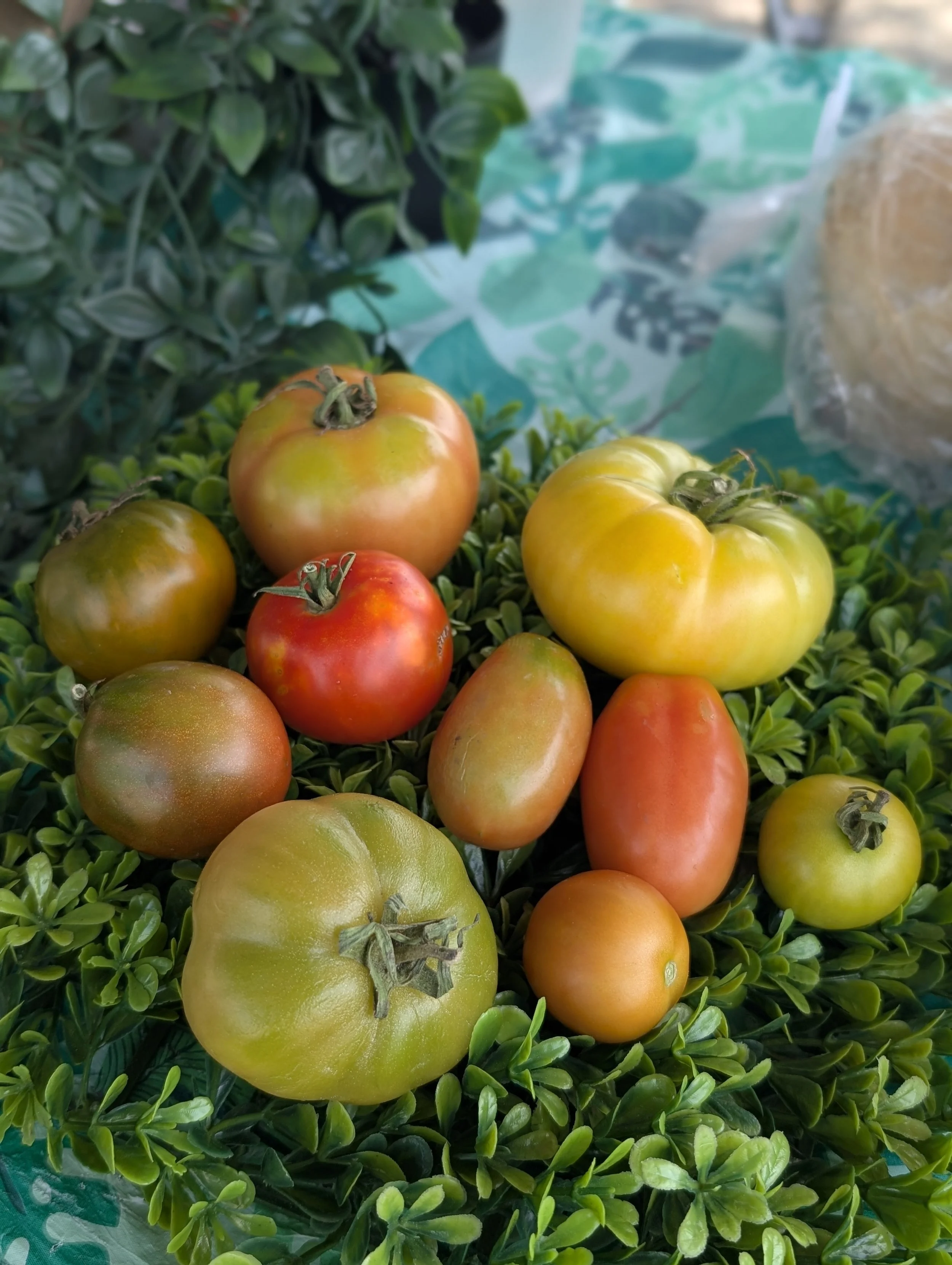 July 5, 2025 at 1039AM-Google Marie's Pixel 9 Pro-37.52696944444445--77.44303611111111.jpg