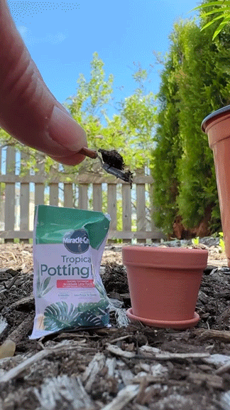 Miracle Gro