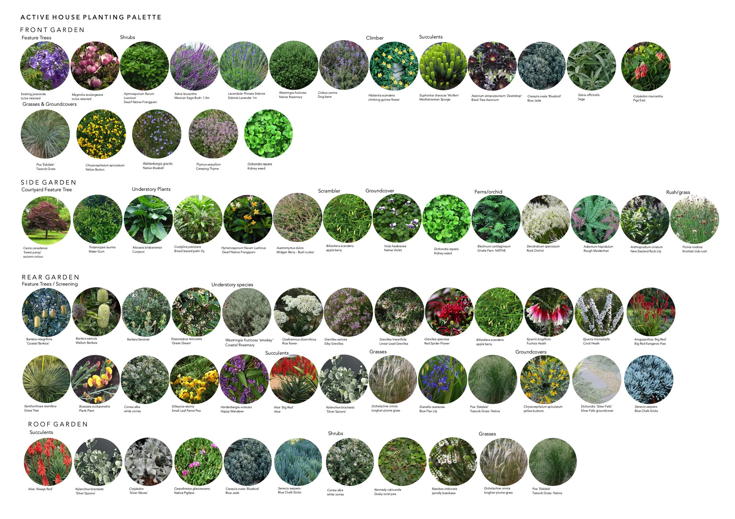 Active House Planting Palette.jpg
