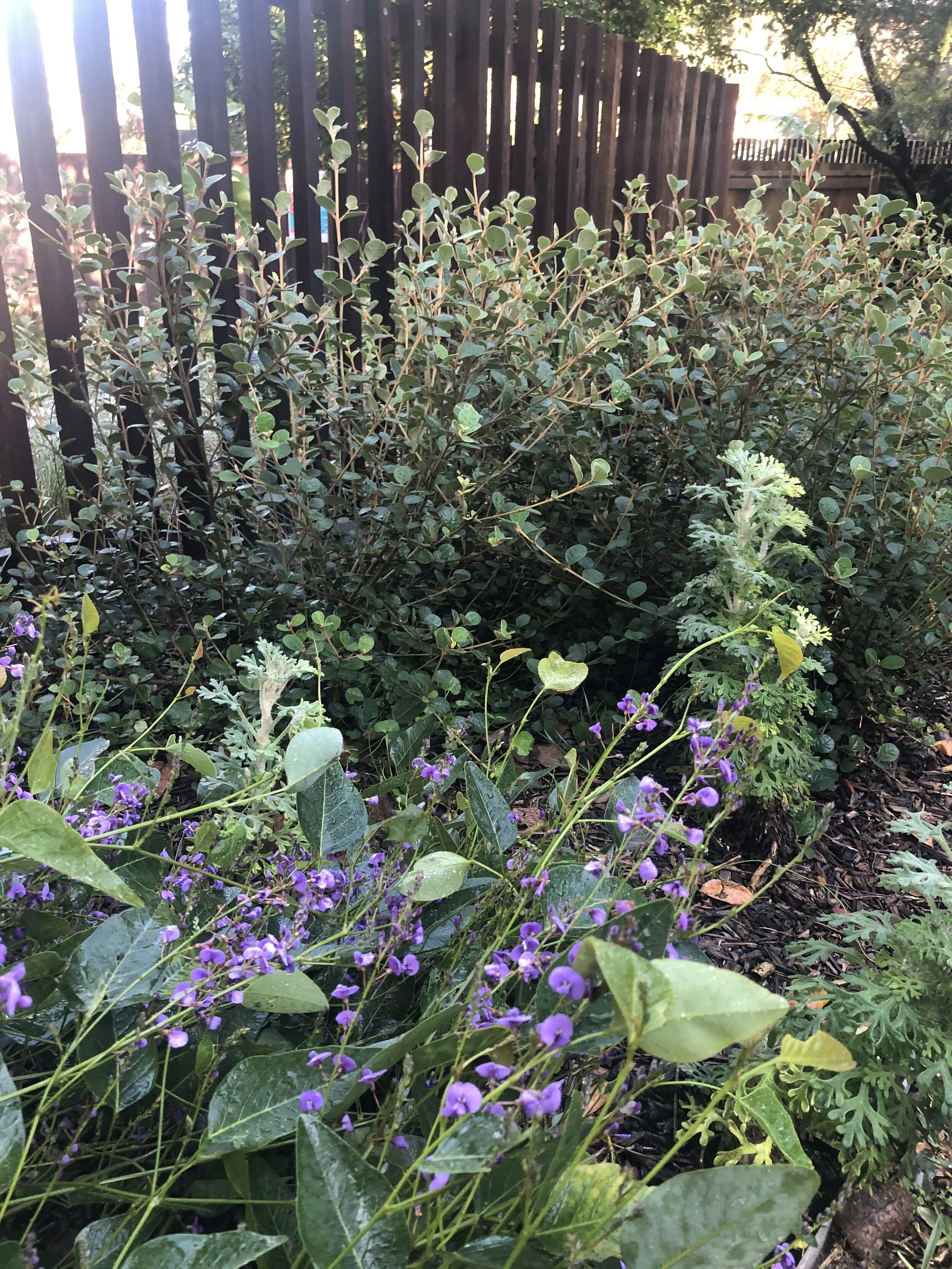 IMG_8058.jpeg