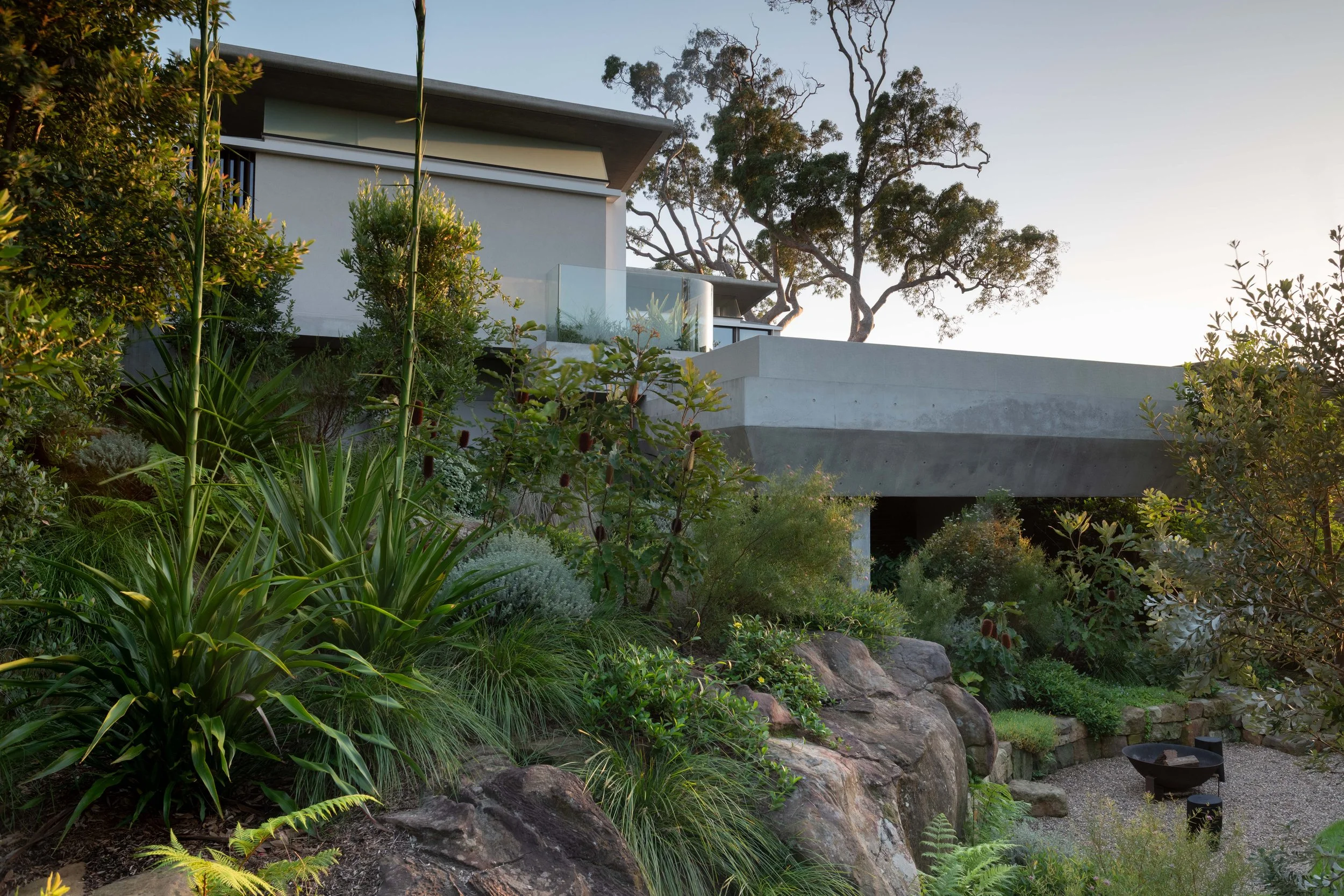 Angophora House
