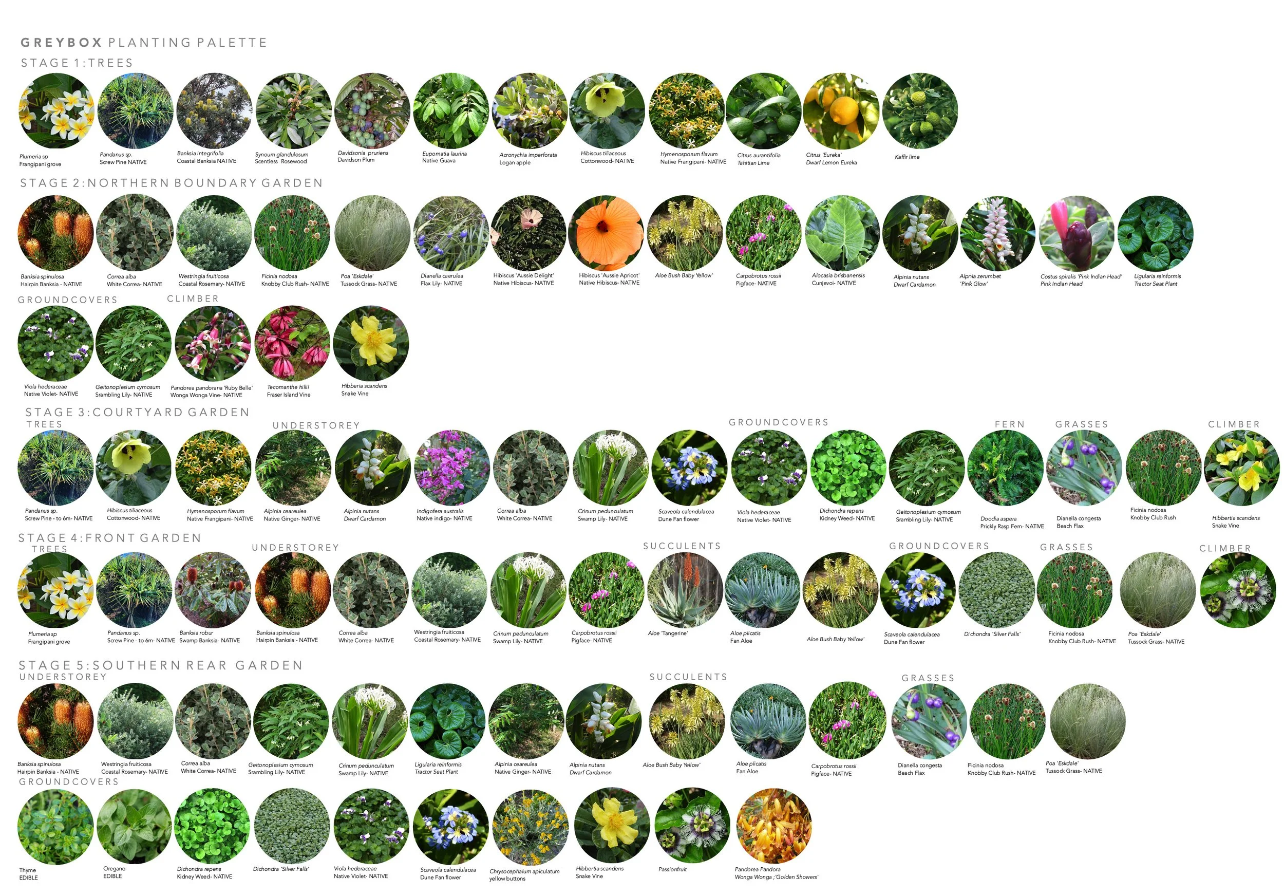 02 Greybox Planting Palette-19-ESLA.jpg