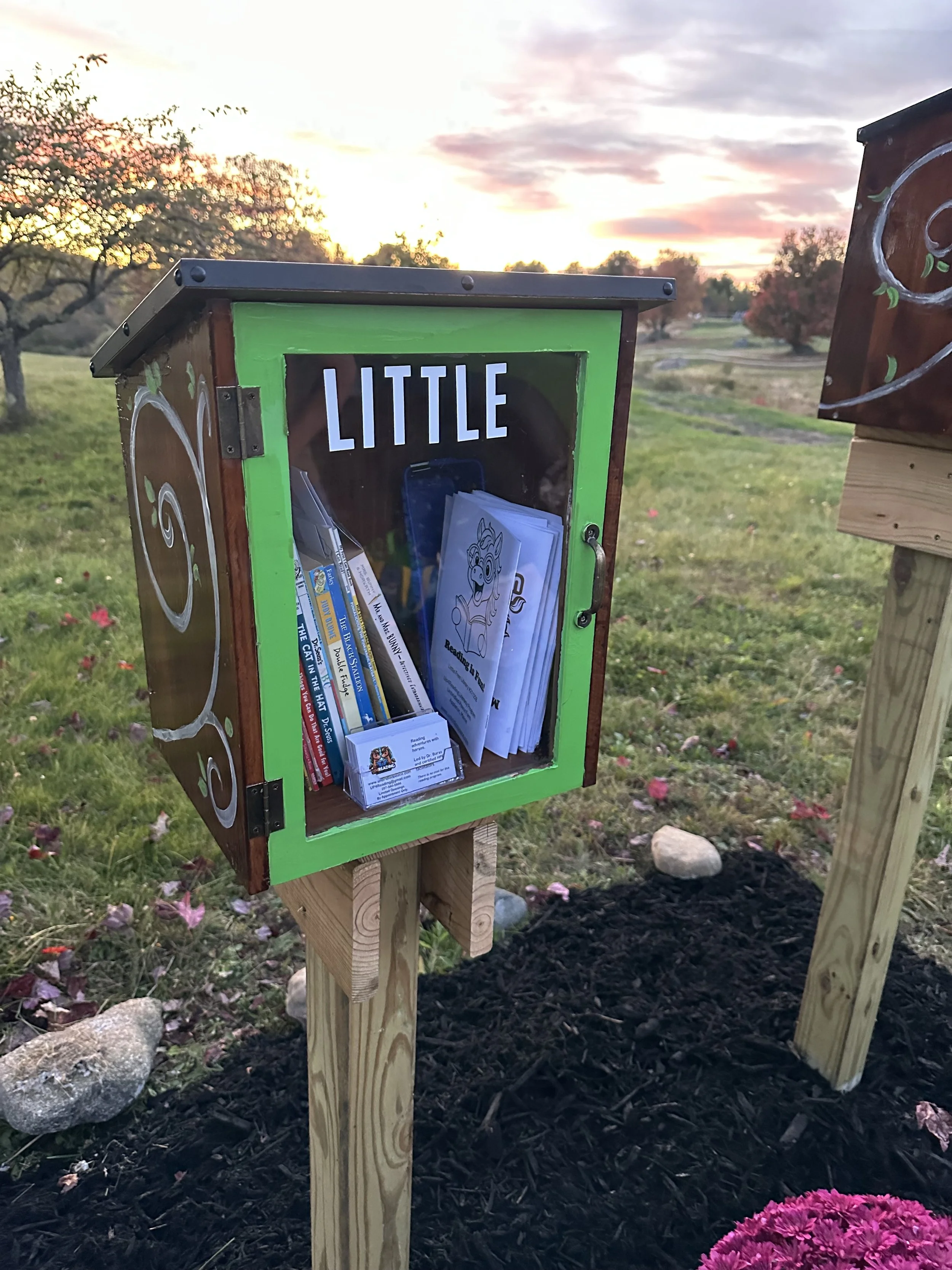 Image of 2 wooden boxes containing books for adults and children.