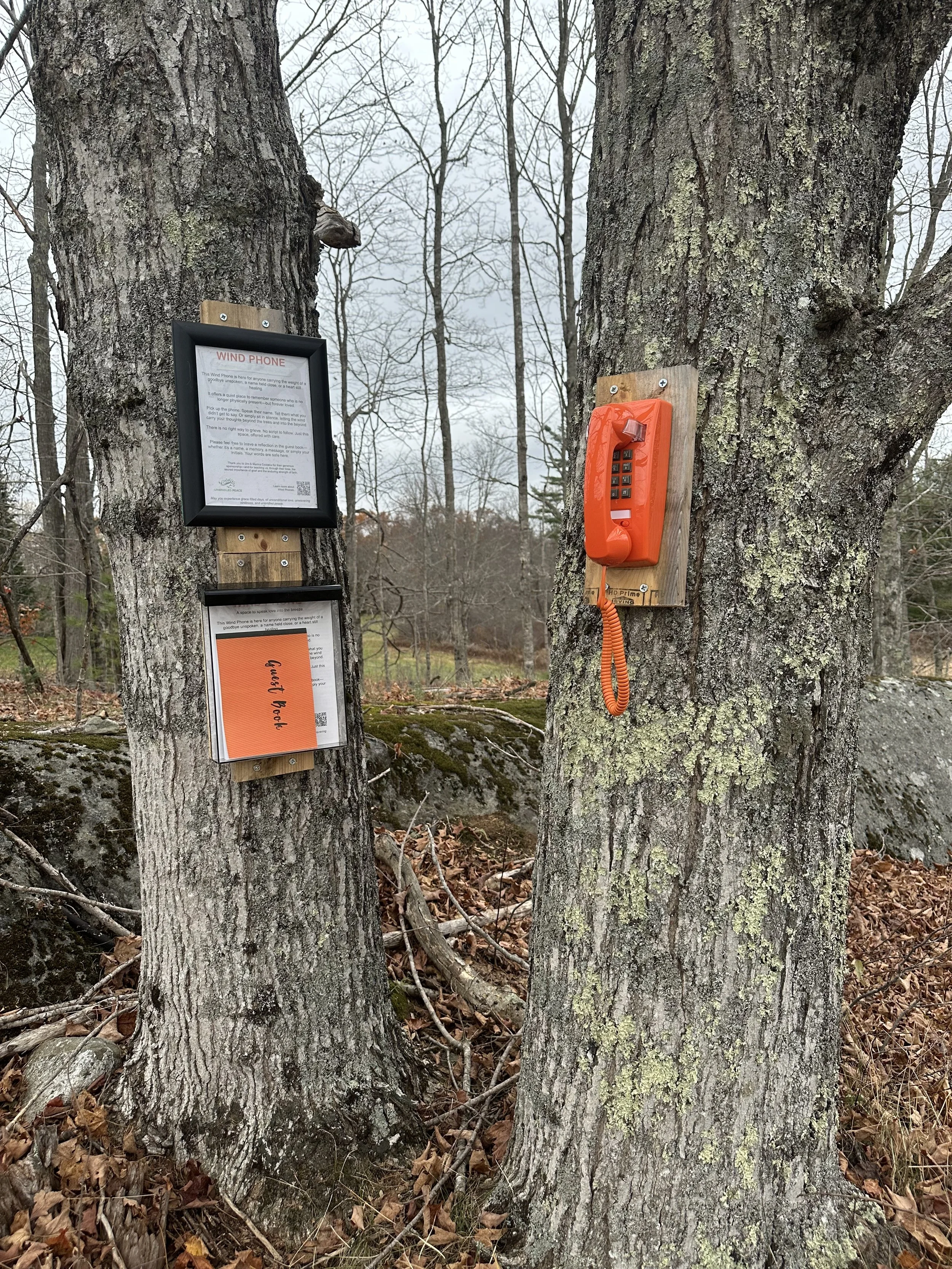 telephone attached to a tree with plaque and a guest book