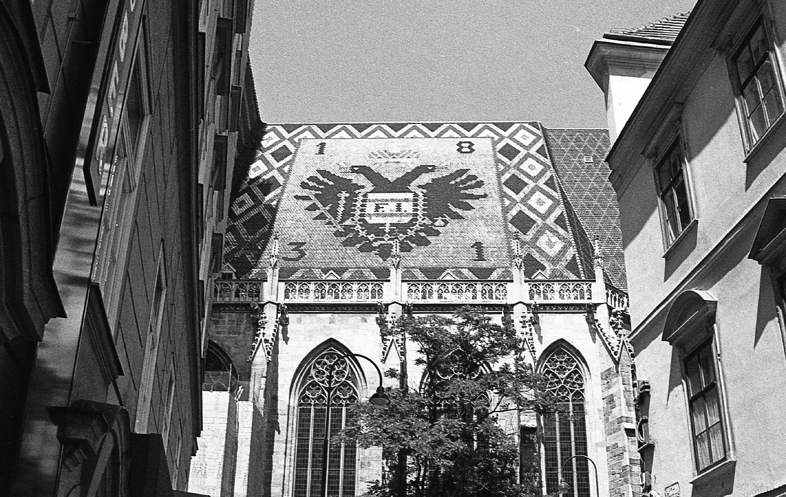img289.jpg