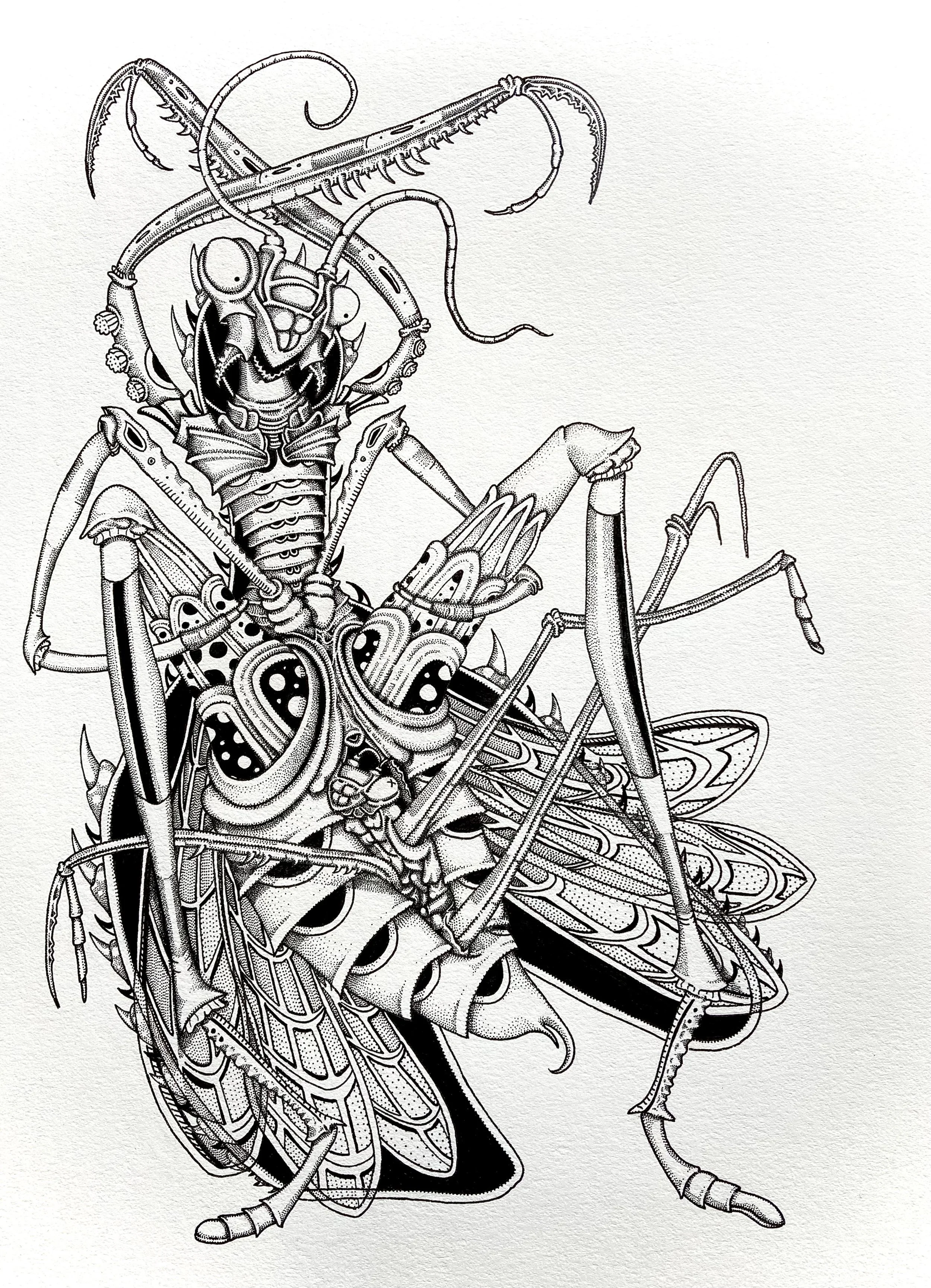 "Playin' in the Nooky N' Neva Comin' Back", ink on paper, 9" x 12"