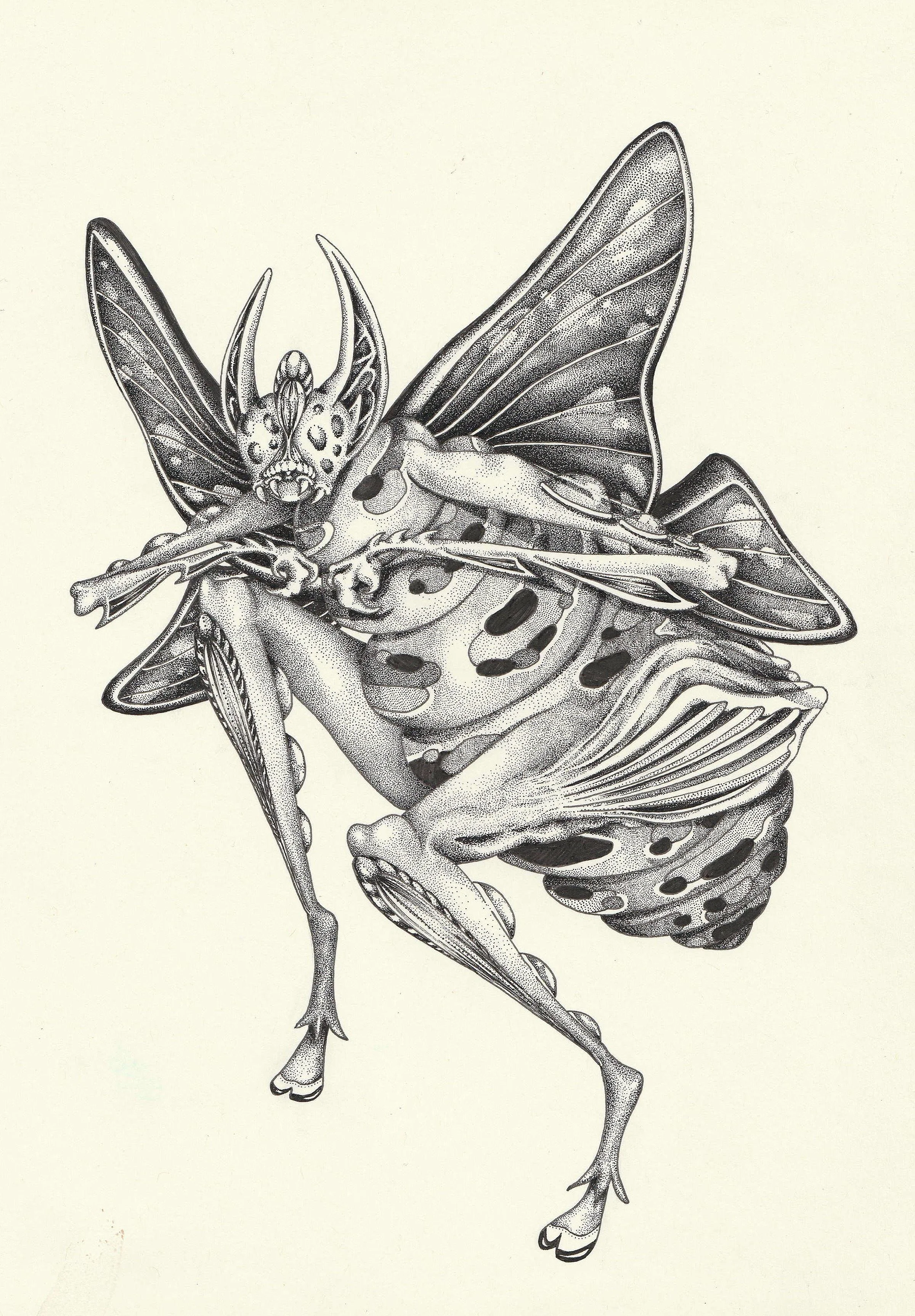Badger_Wing-It.JPG
