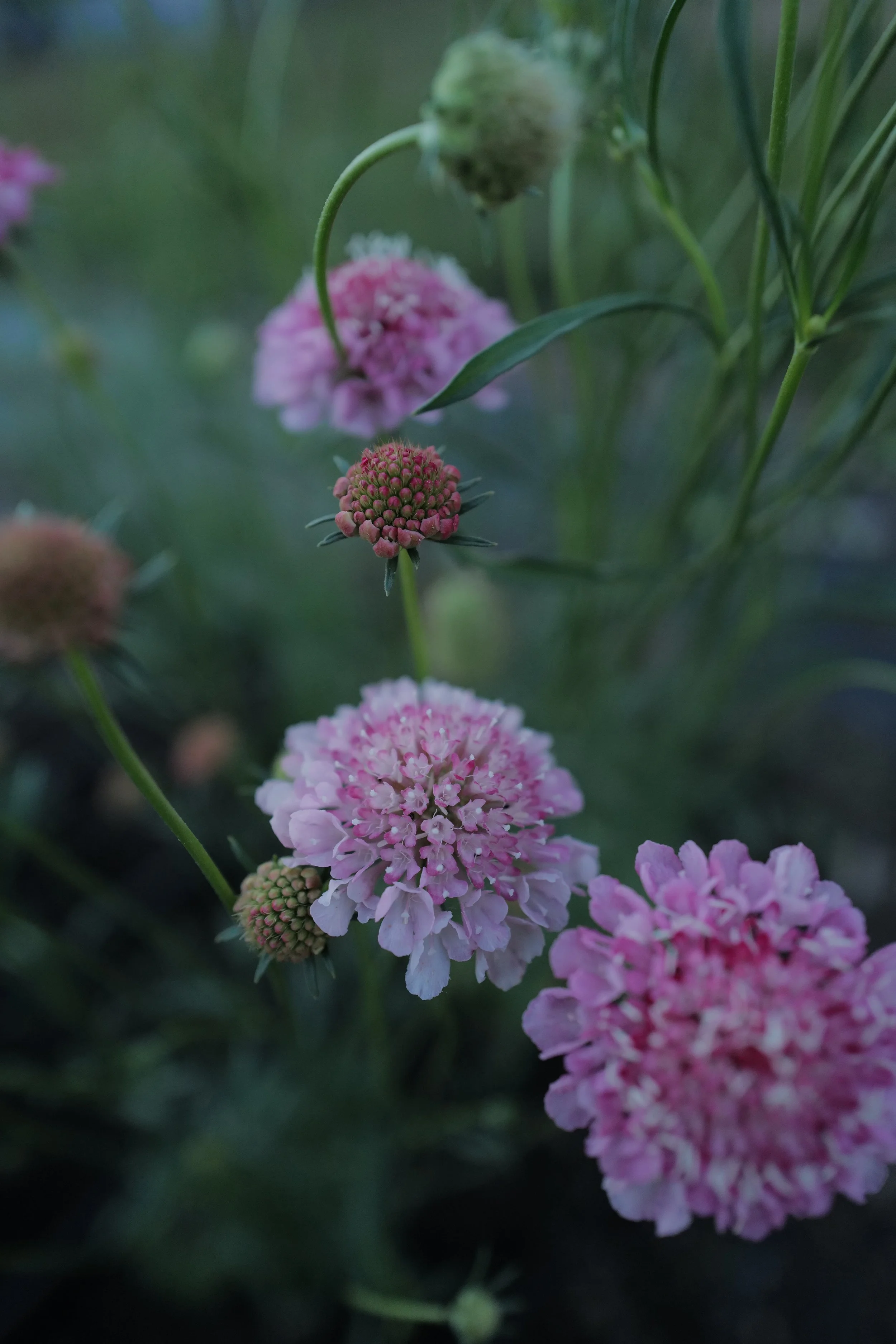 L1580292.JPG