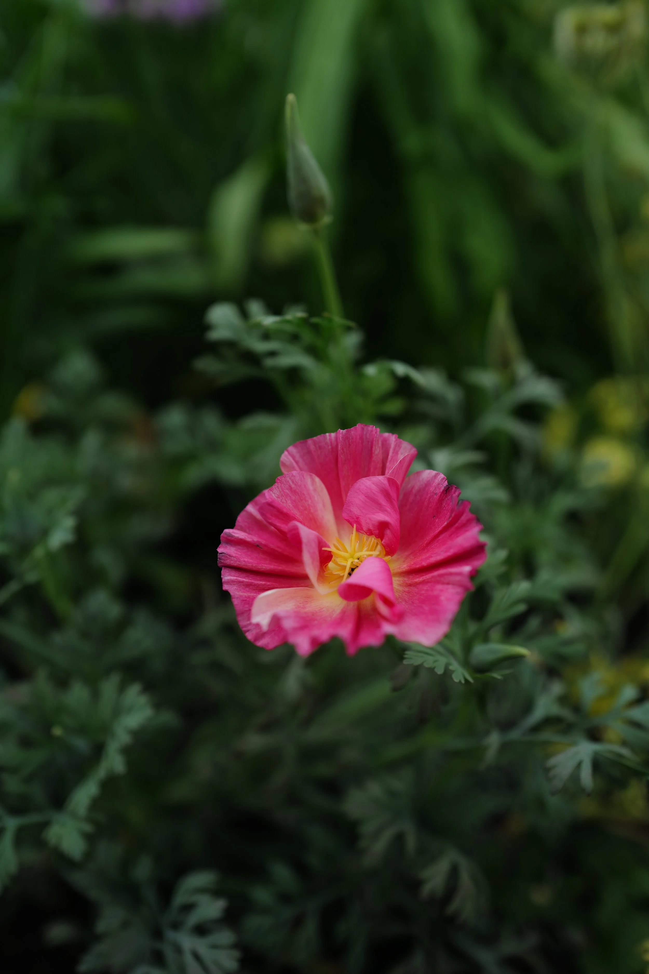 L1440433.JPG