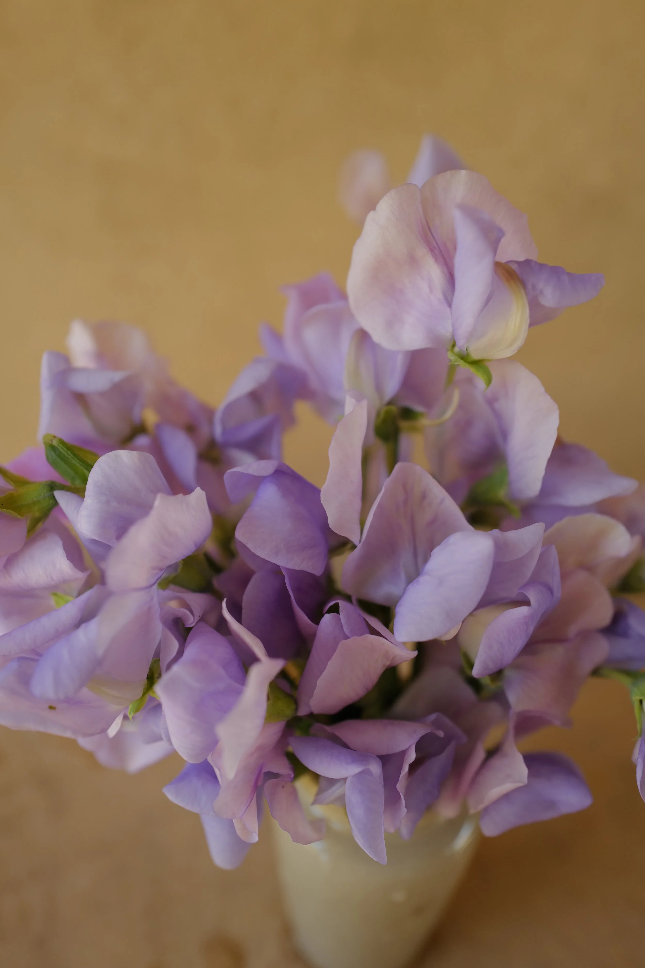 L1530032.JPG