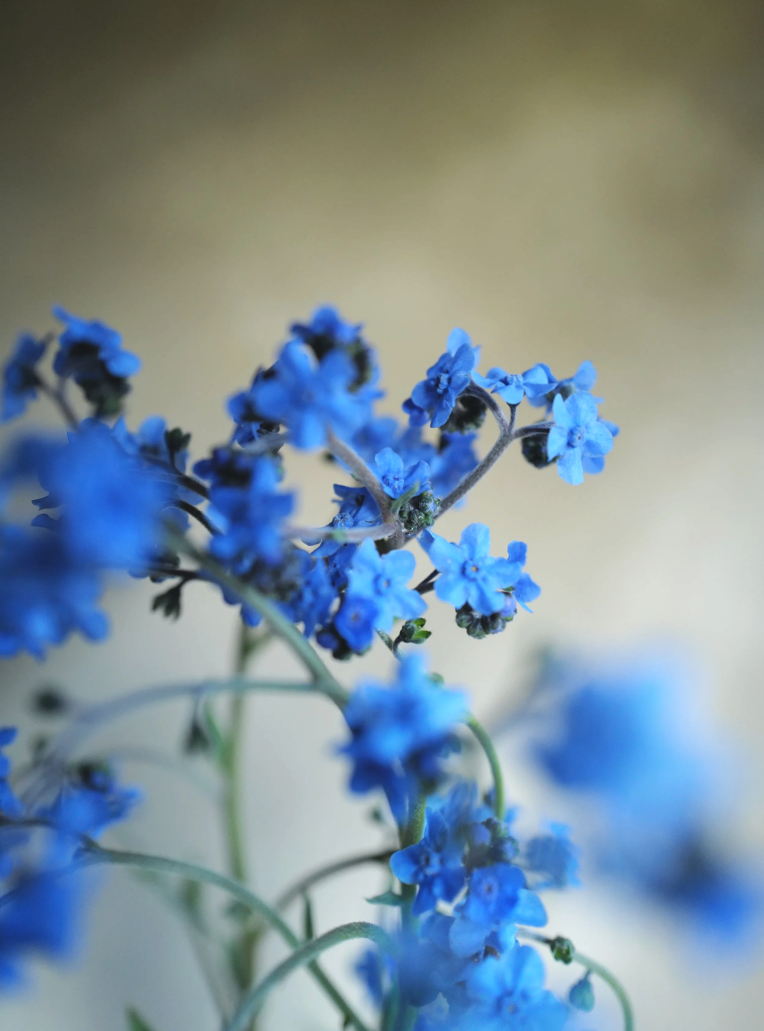 L1390485.png