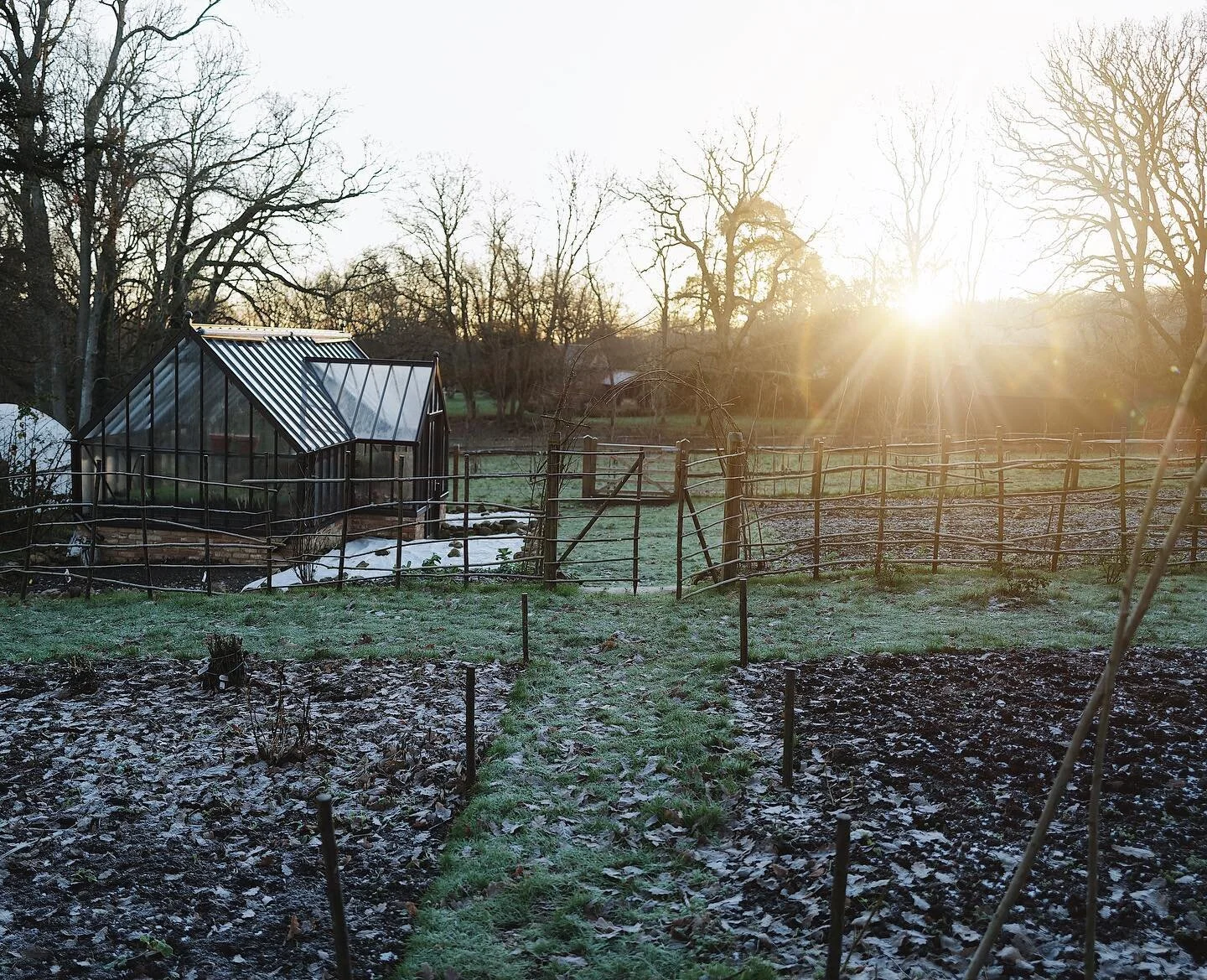 Winter light, milk and honey.