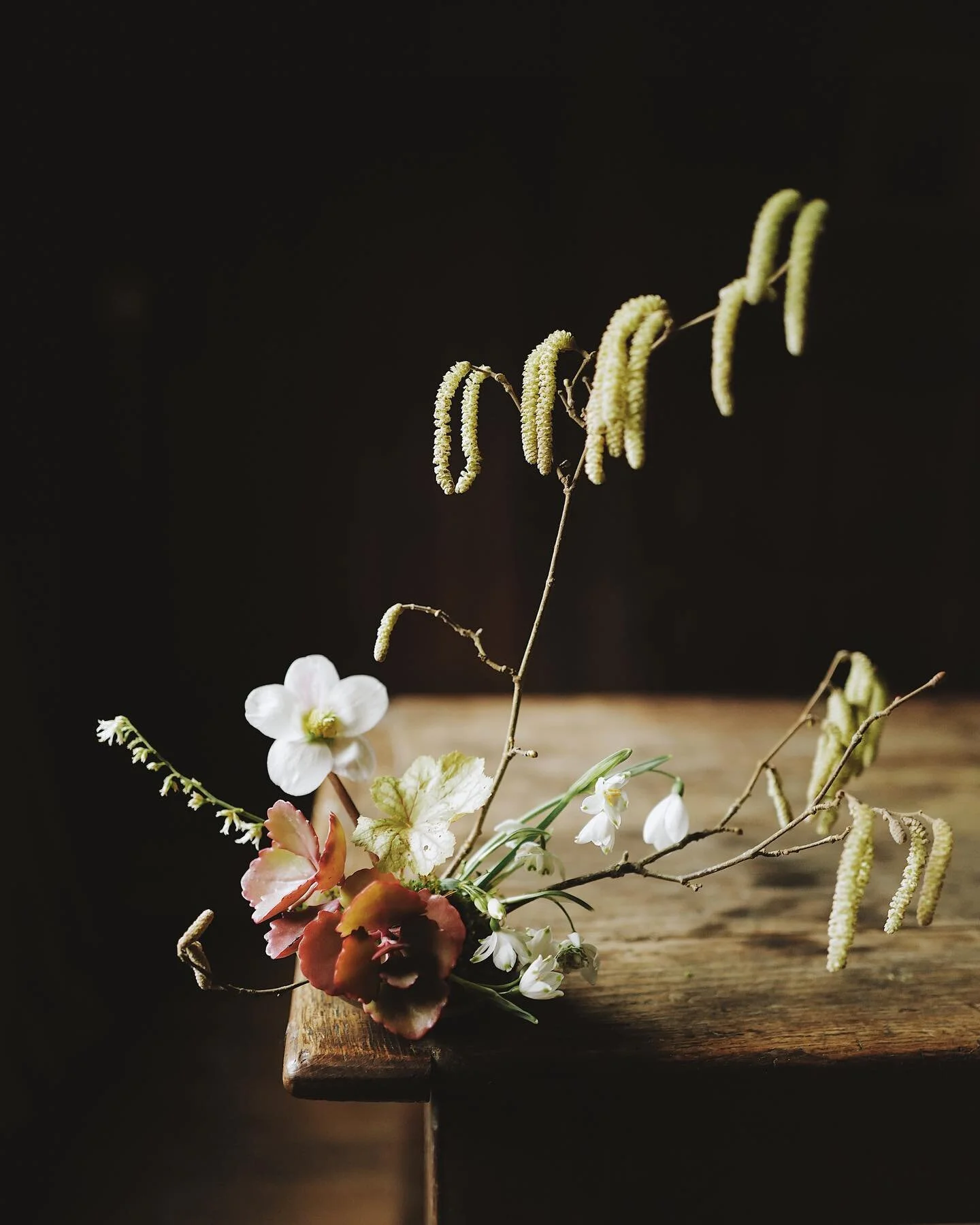 Windowsill Wednesday. Each day one more thing flowers- here&rsquo;s to counting every single one.
.
Hazel catkins
Hellebore Niger &lsquo;Christmas rose&rsquo;
Heuchera &lsquo;Marmalade&rsquo;
Sarcococca 
Sedum
Snowdrop
Double flowered snowdrop (sorry galanthophiles, I don&rsquo;t known their proper names) 
Leucojum 
Moss