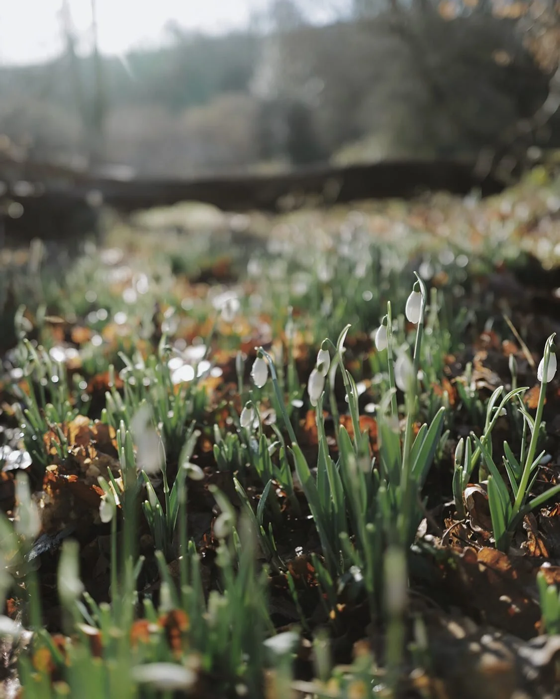 Earlier and earlier each and every morning