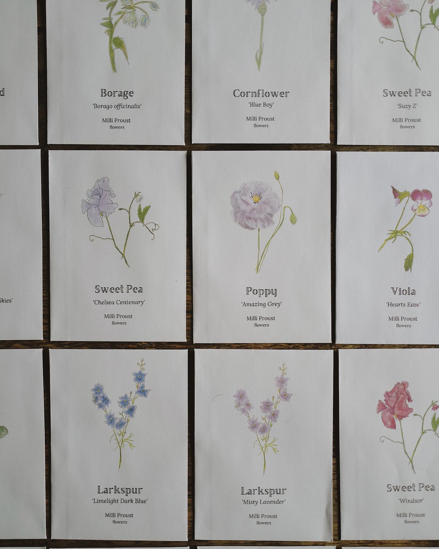 Seeds that turn into flowers- another limited run of my illustrated packets will be back in the shop soon! 

A labour of love, with countless hours of late night drawing, and I&rsquo;m hopelessly in love with how they&rsquo;ve turned out- I hope you love them too. 

(I&rsquo;m sending out the date and time of the shop opening in the newsletter tomorrow, so if you want to be ahead of the game, sign up via the website)