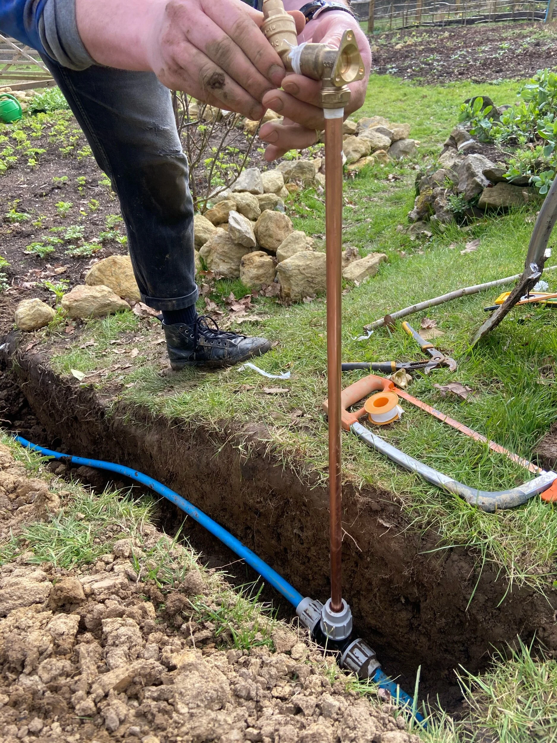 This may not be a beautiful photo of flowers, but it’s my favourite photo from March- a beautiful image of better irrigation being put in with my friend Scottie’s help. This will be a gamechanger in Summer- no more lugging a hose around at 5 am! The…