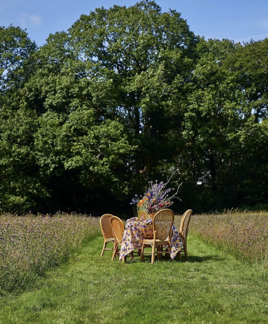 Outdoor table setting with floral tablecloth and chairs in a field, surrounded by trees and wildflowers.