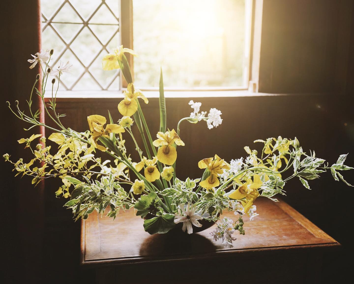 Windowsill Wednesday. Late on a Thursday. The sun is spoiling us at last. To have warmth in the bones again is a feeling that is tender and loving and gentle. And when the grass is stretching up an inch each day, there&rsquo;s no keeping up with May;