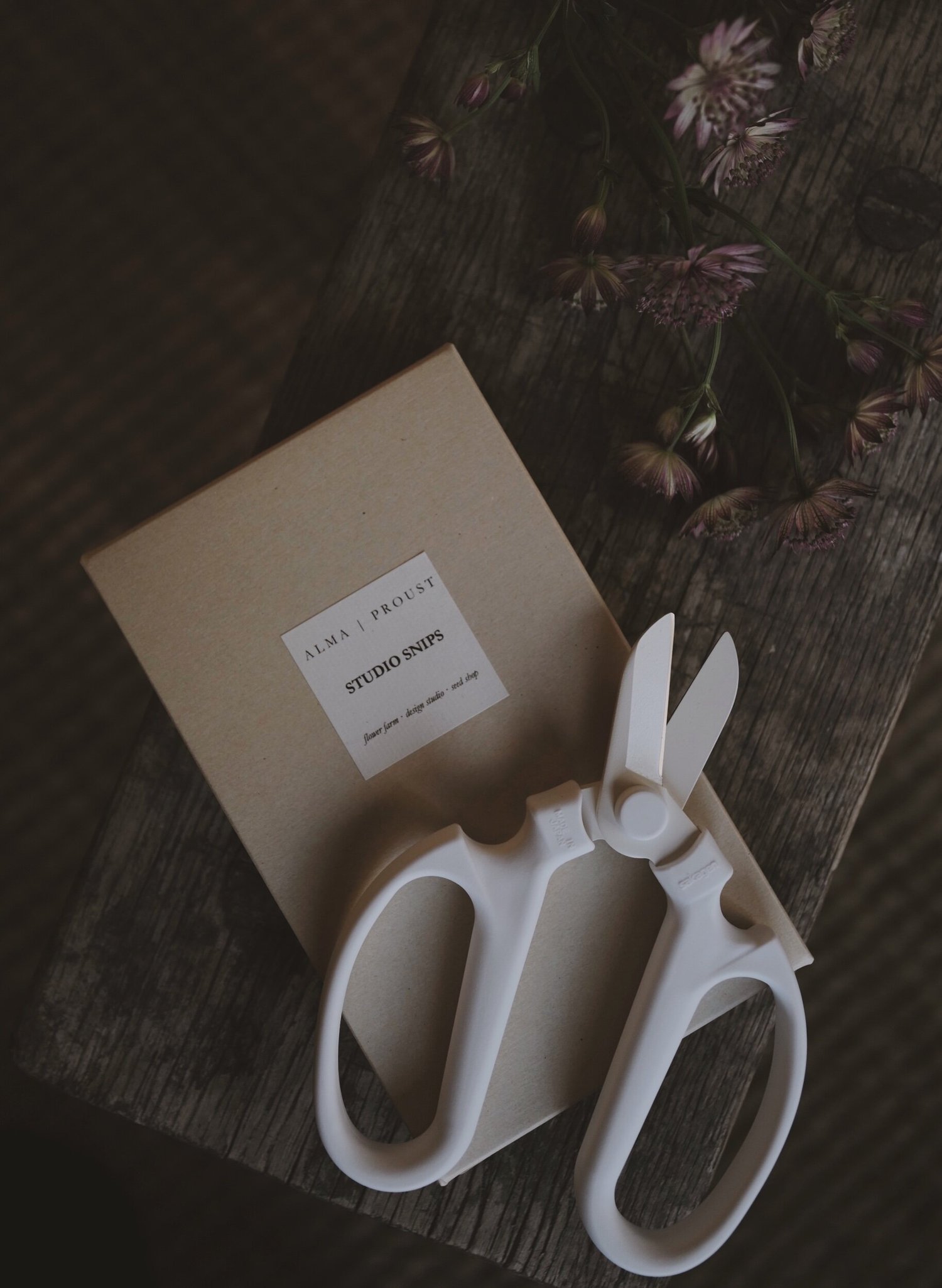 Everyday Sakagen Studio Snips — ALMA | PROUST