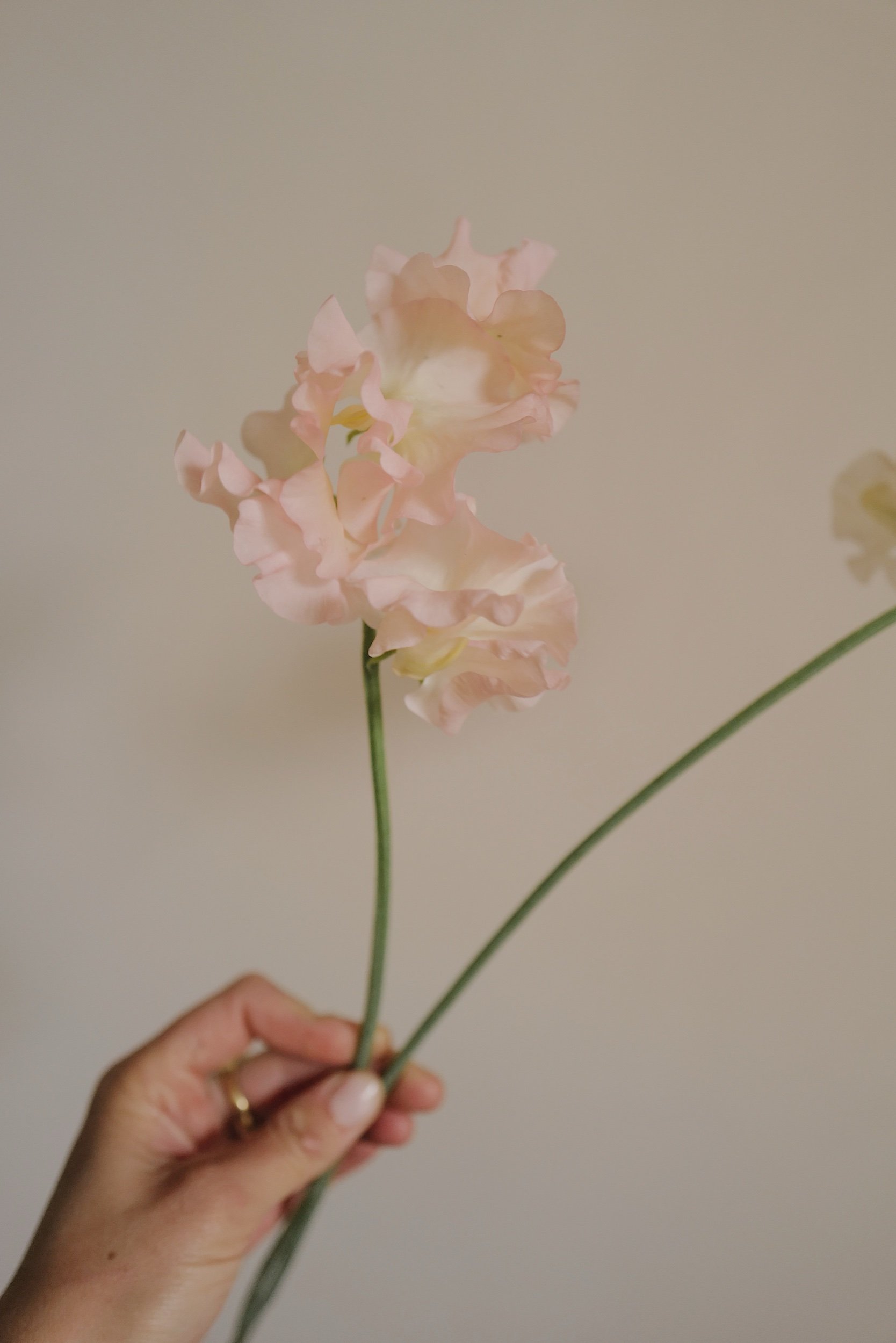 126AFF64-479F-4990-B3AC-B7F3346EC3B8.jpeg