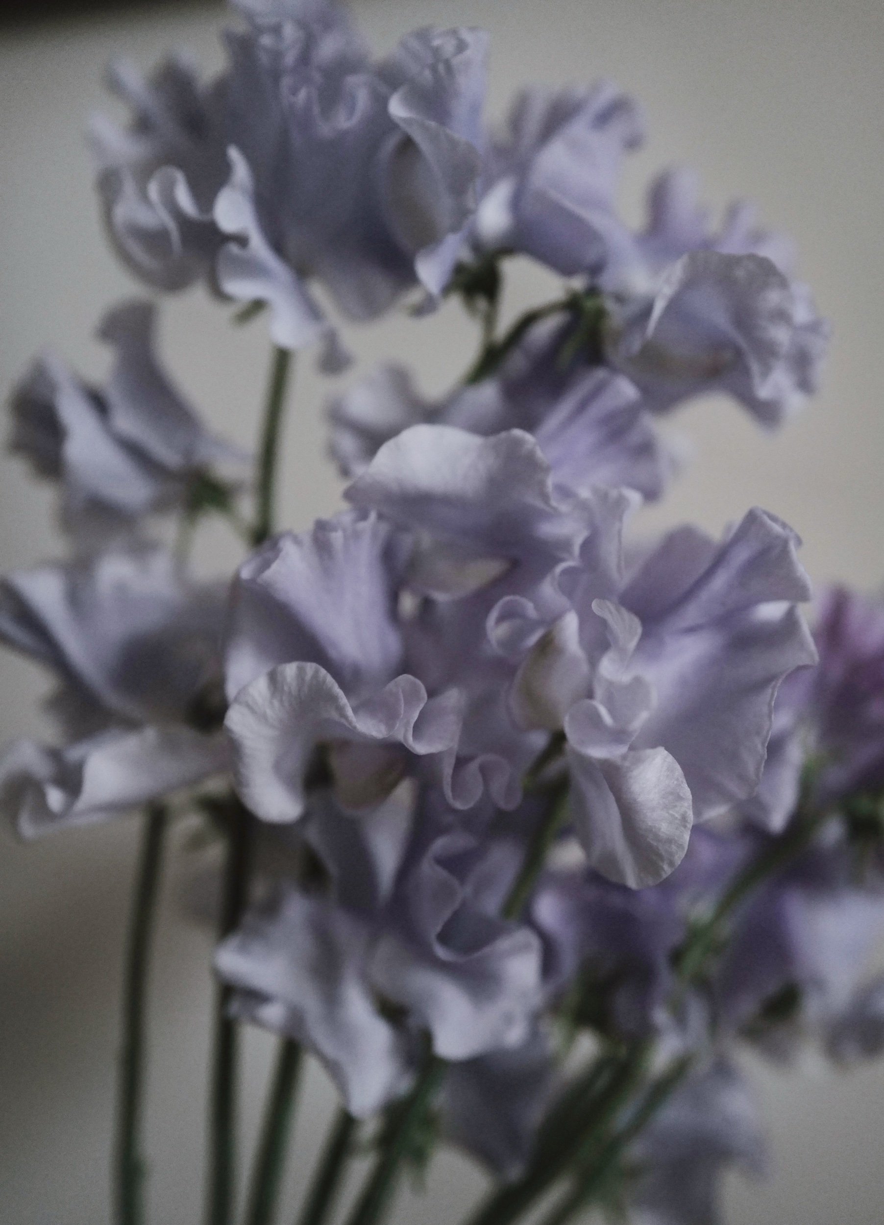 280A7F53-85C5-4B94-9B91-F2DB6A4017E7.jpeg
