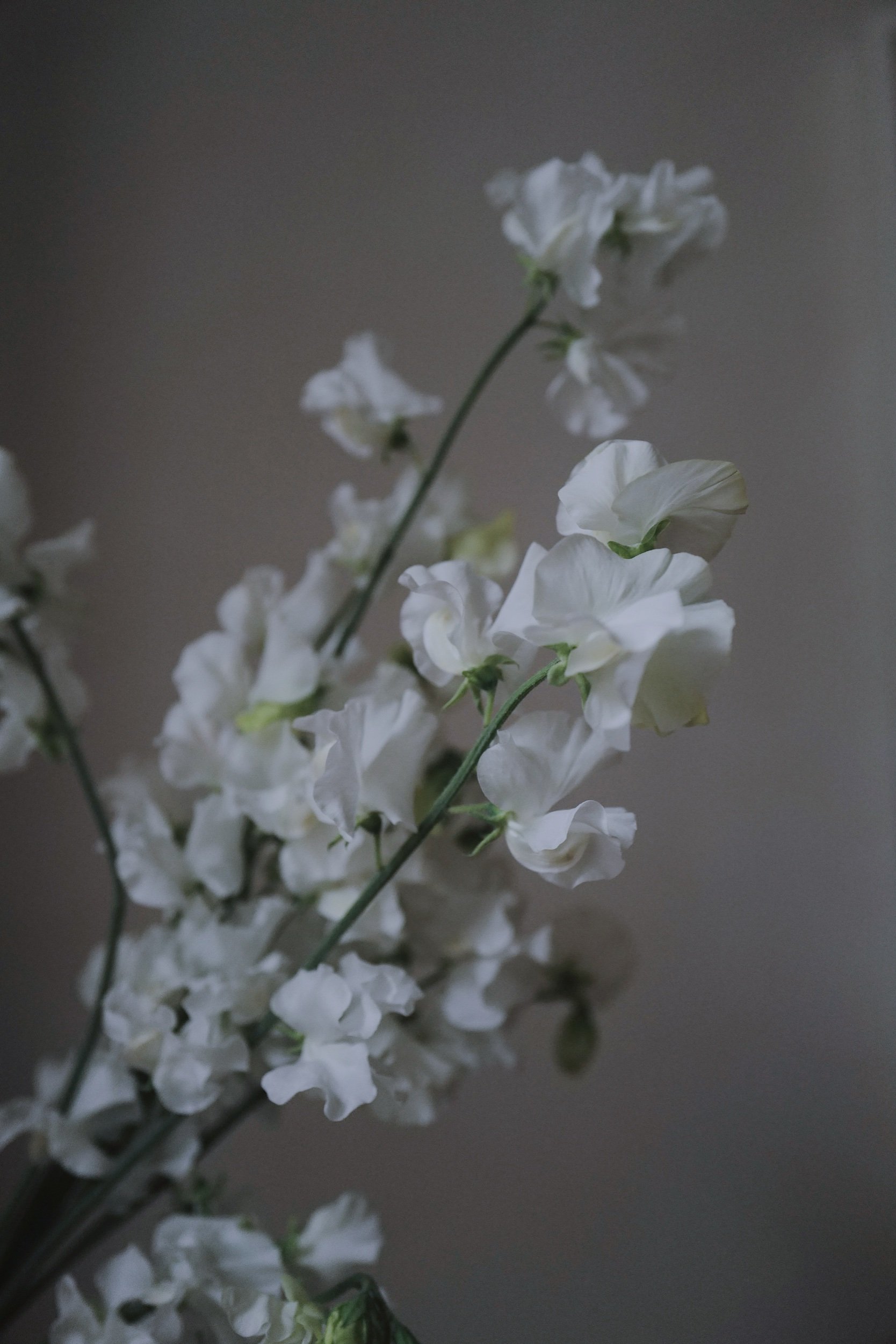 BED65205-056D-453B-B3D7-C77A8E8E2D83.jpeg