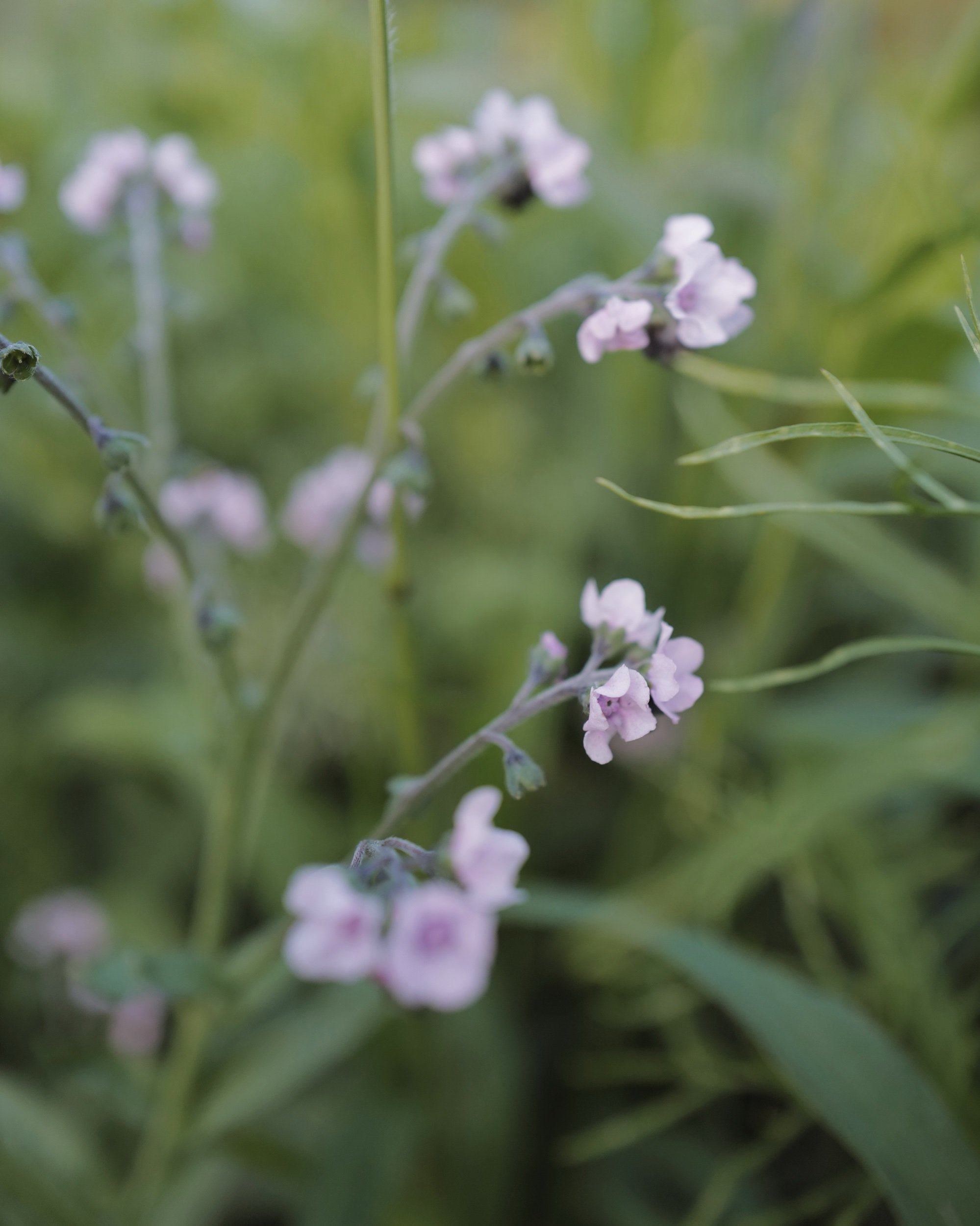 1801B58C-5E4D-490F-B8A5-F7853B68D299.jpeg