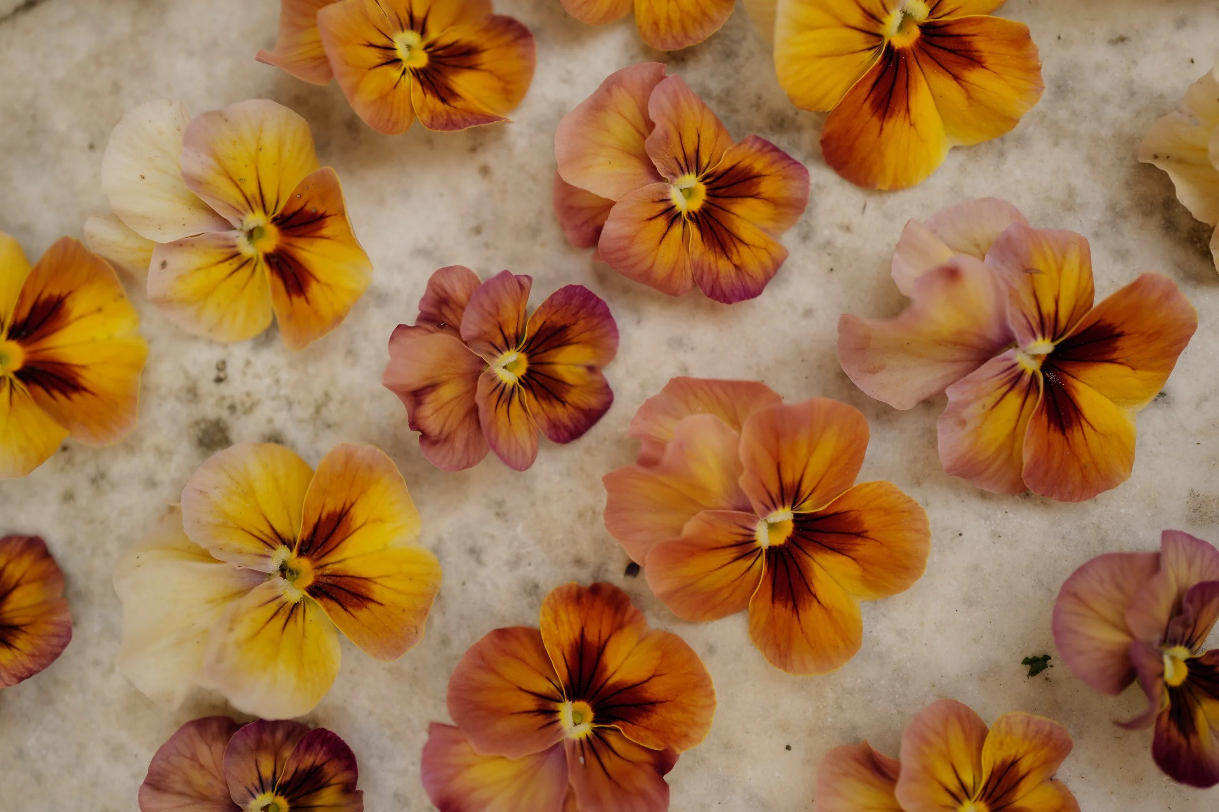 nature antique shades12.JPG