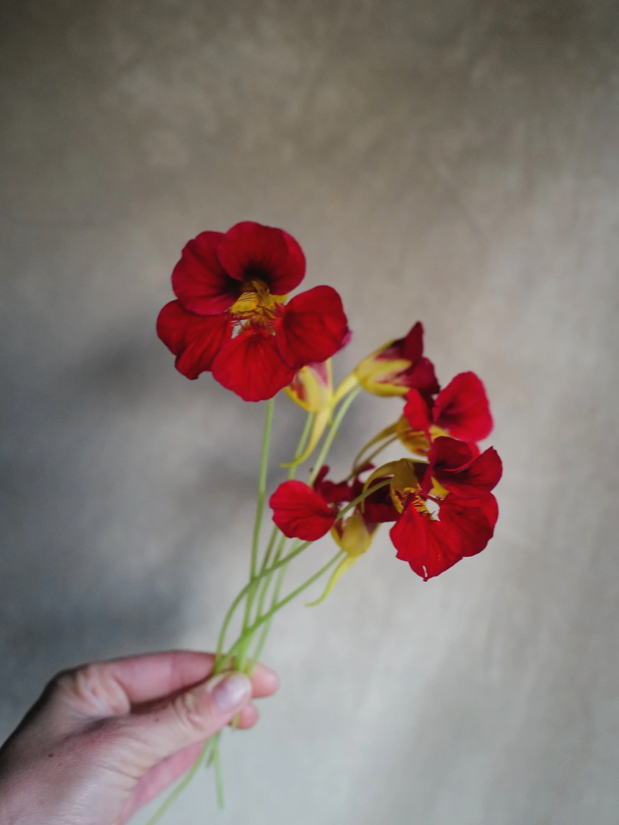 L1430901.png