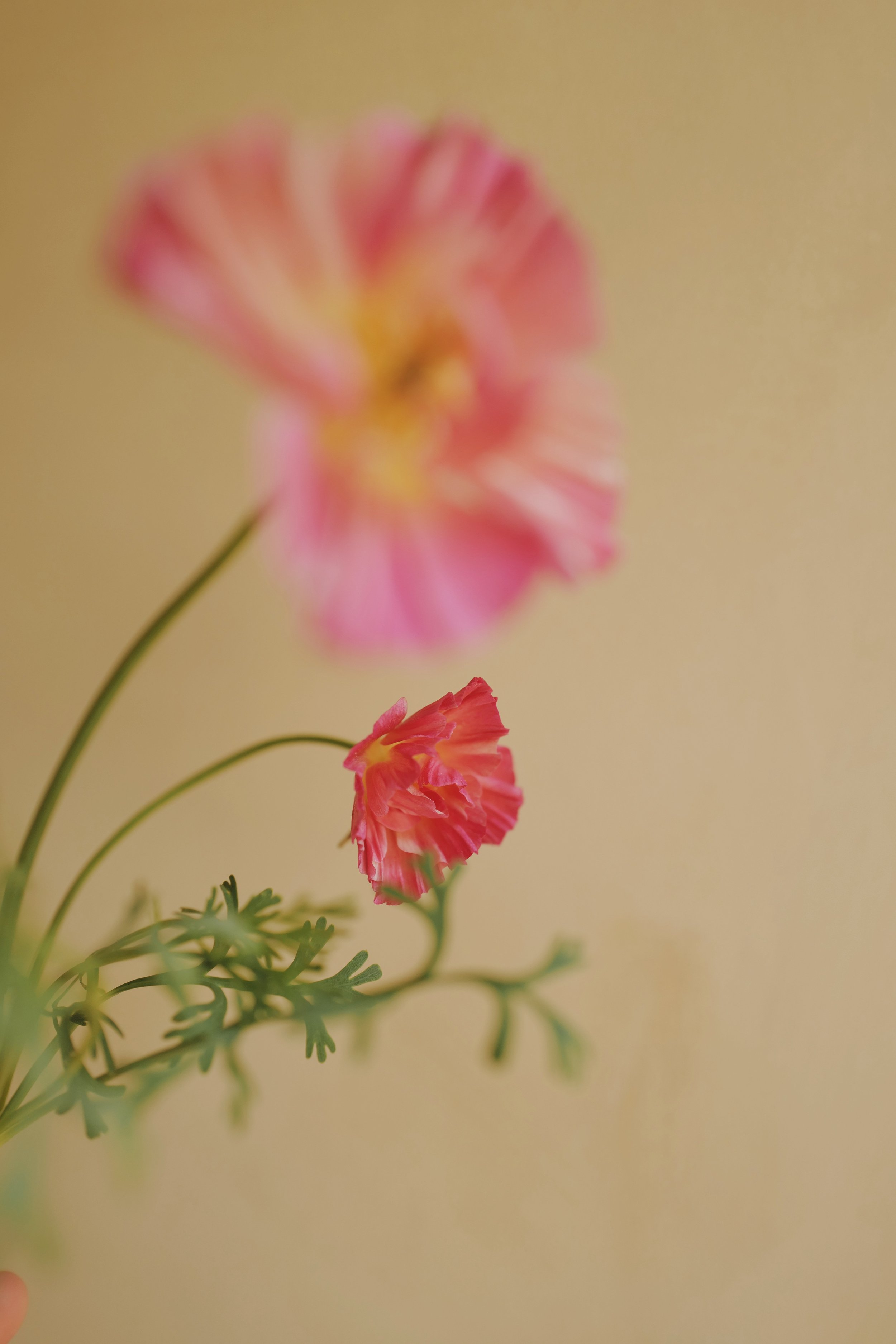 L1320564-VSCO.jpeg