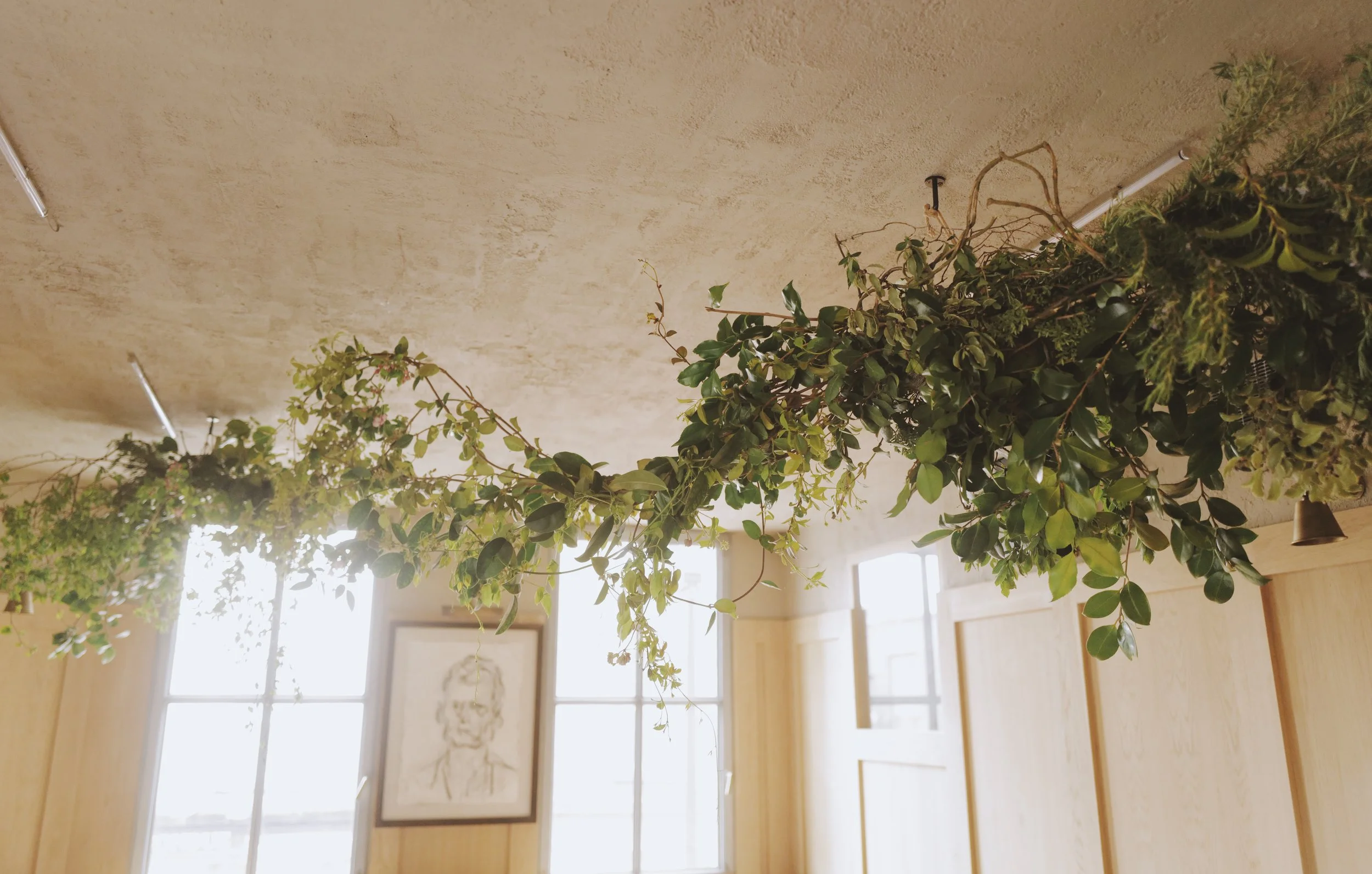 Hanging green foliage on a ceiling with framed sketch on wall in background