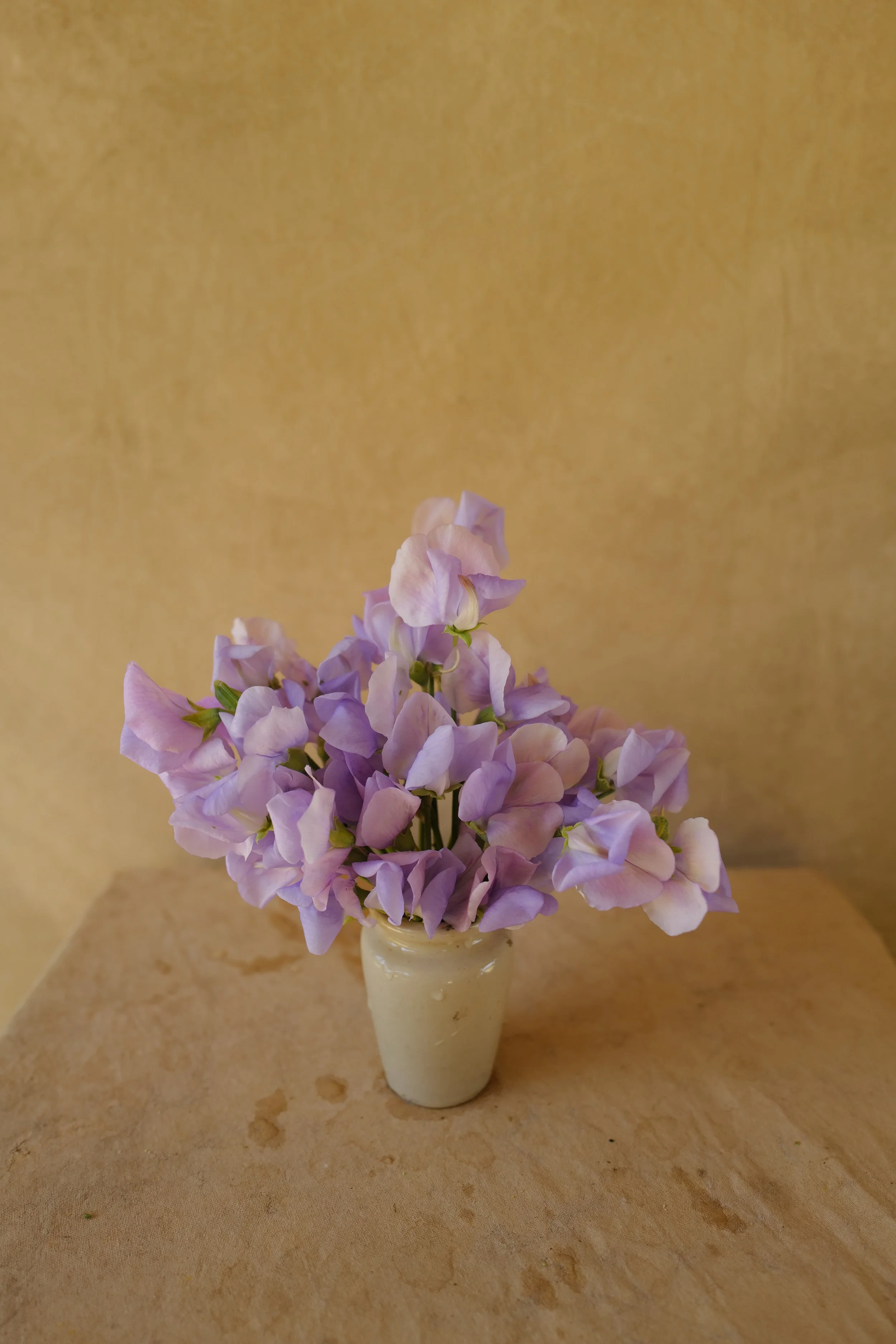 L1530029.JPG