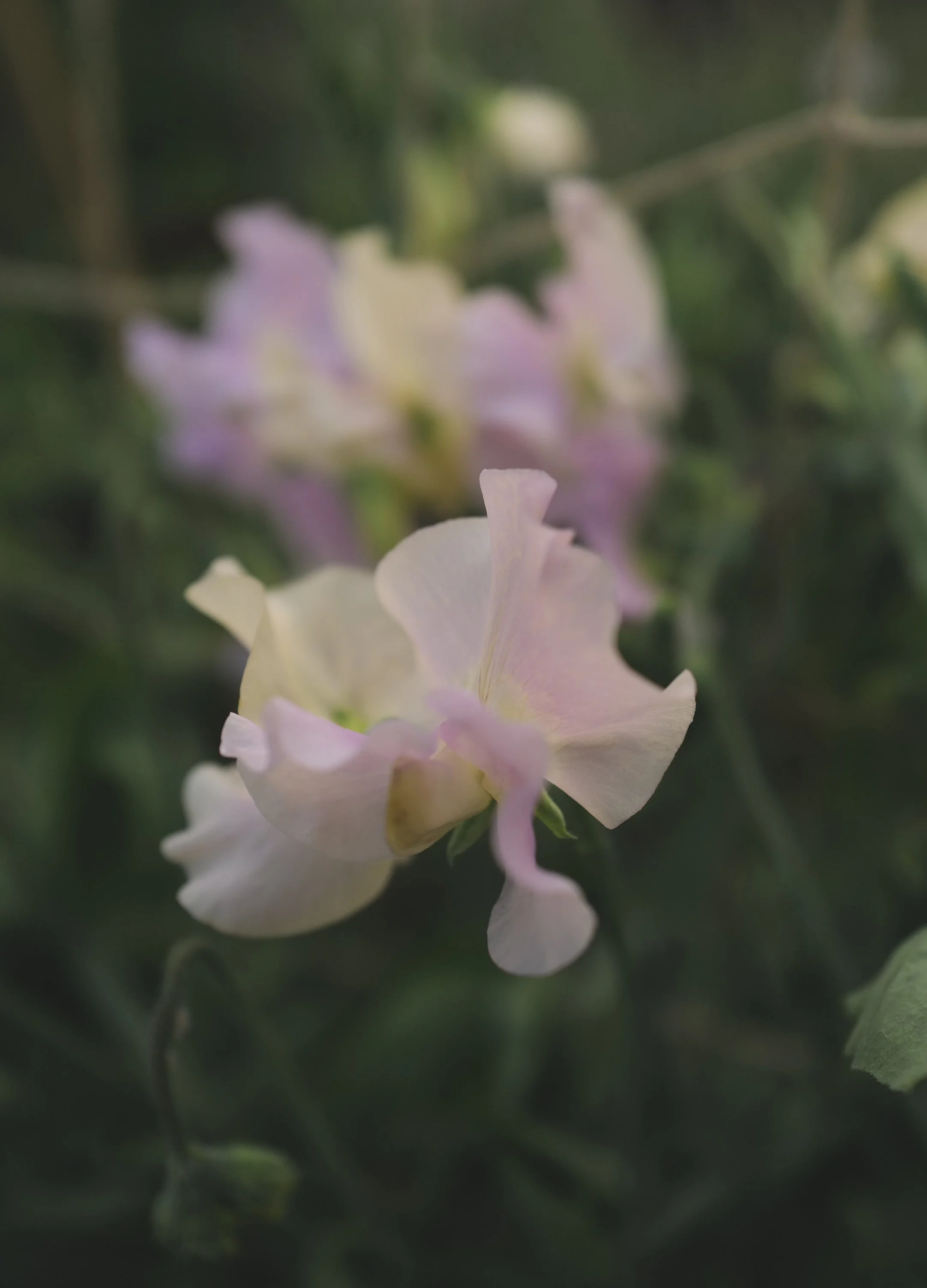 L1400120.png