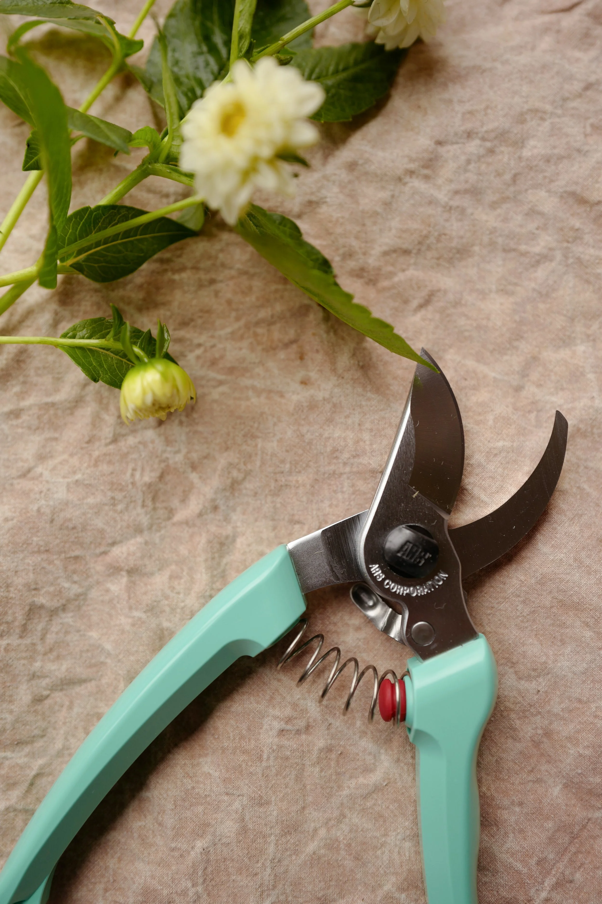 ars-snips-mint.JPG