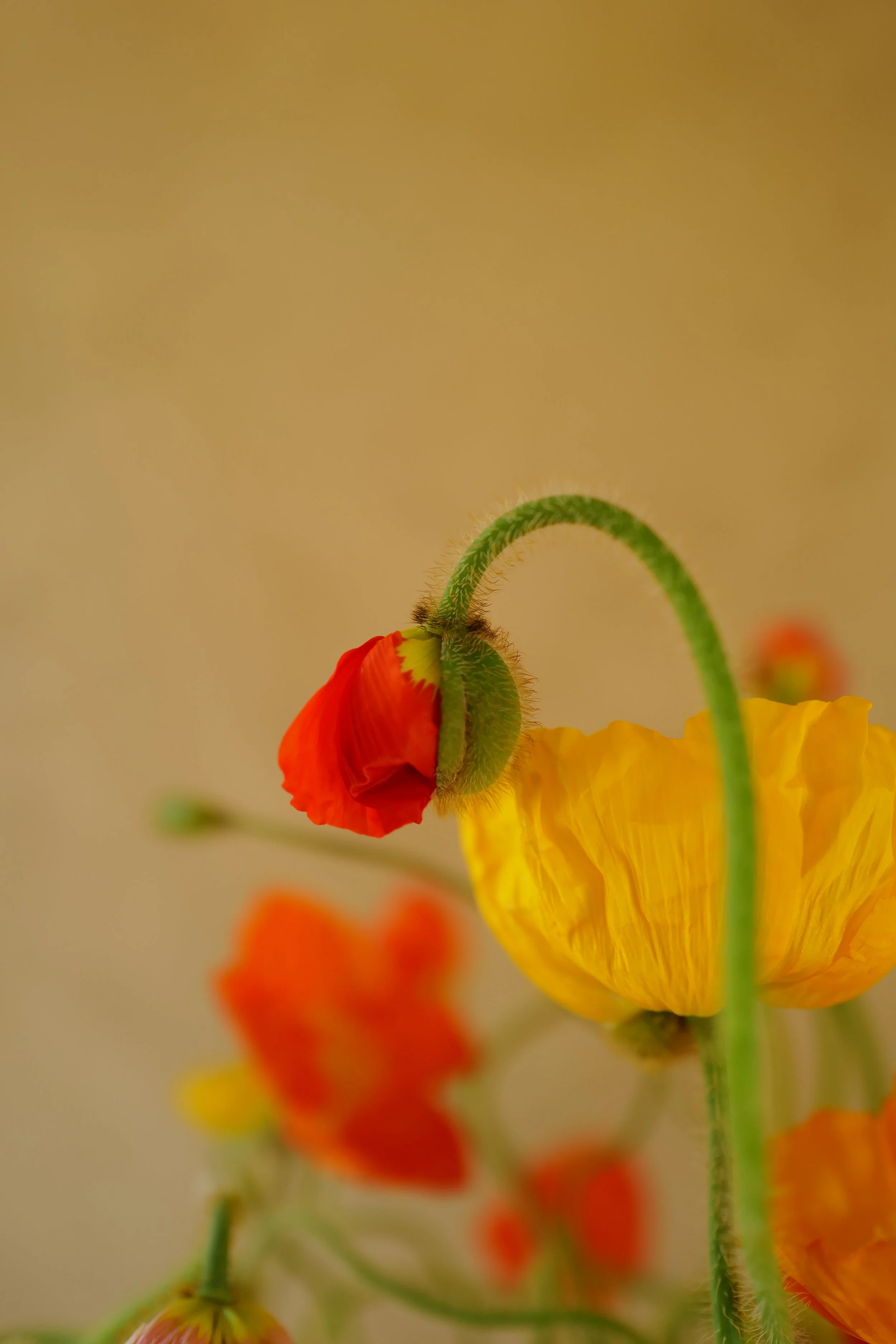 L1520111.JPG