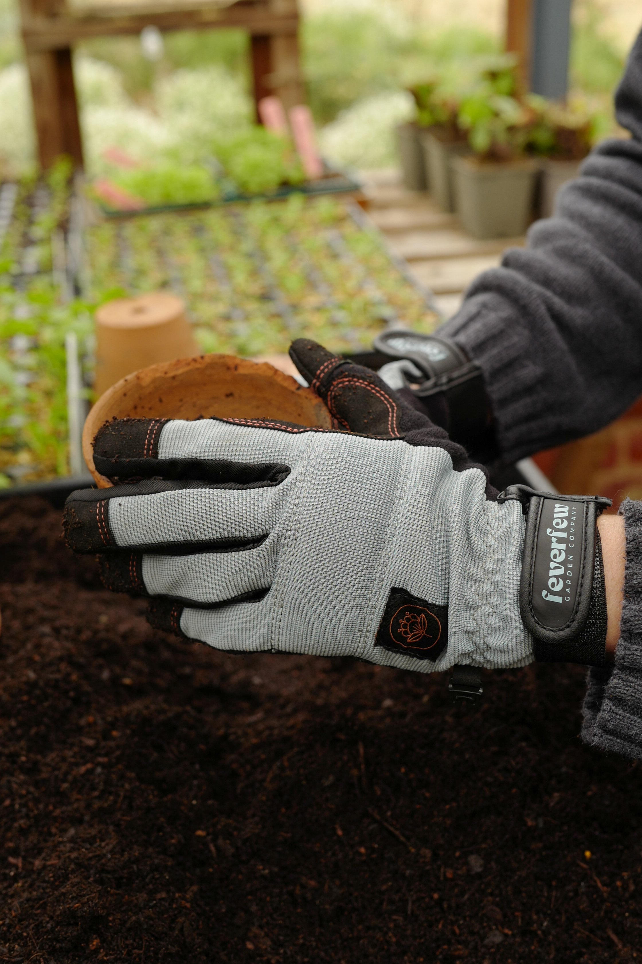 feverfew-gloves.JPG