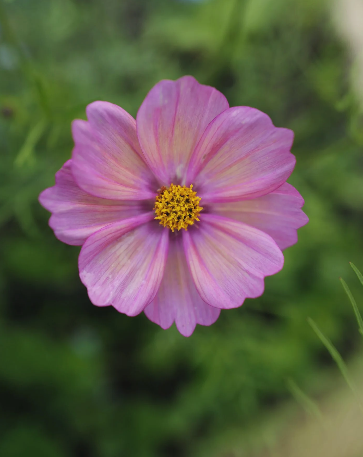 L1380809.png