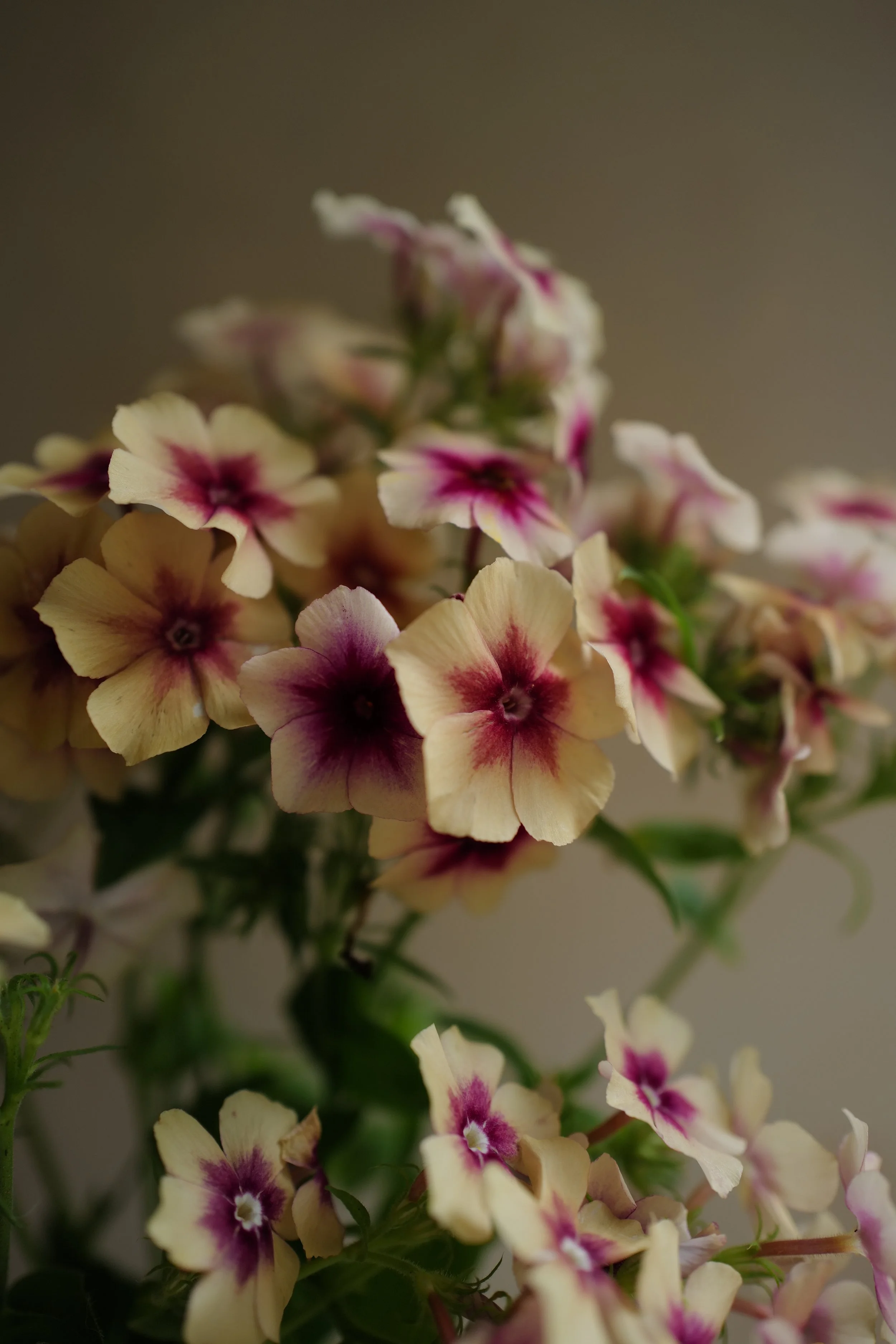 L1440919.JPG