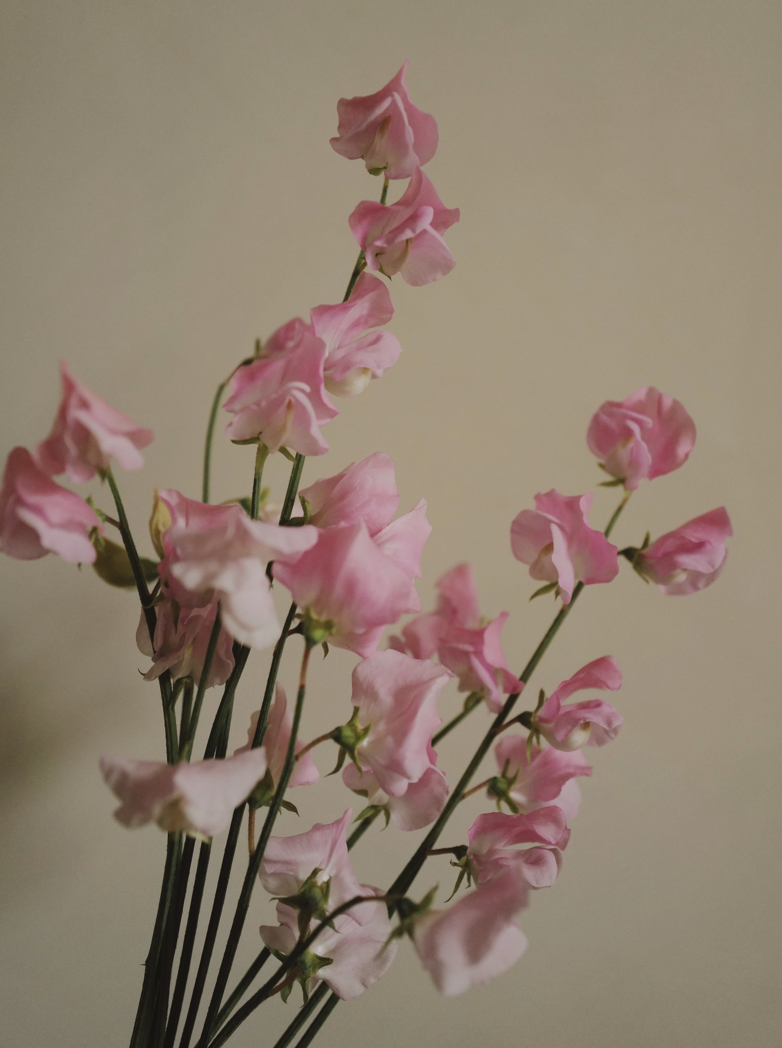L1260783_VSCO.jpeg