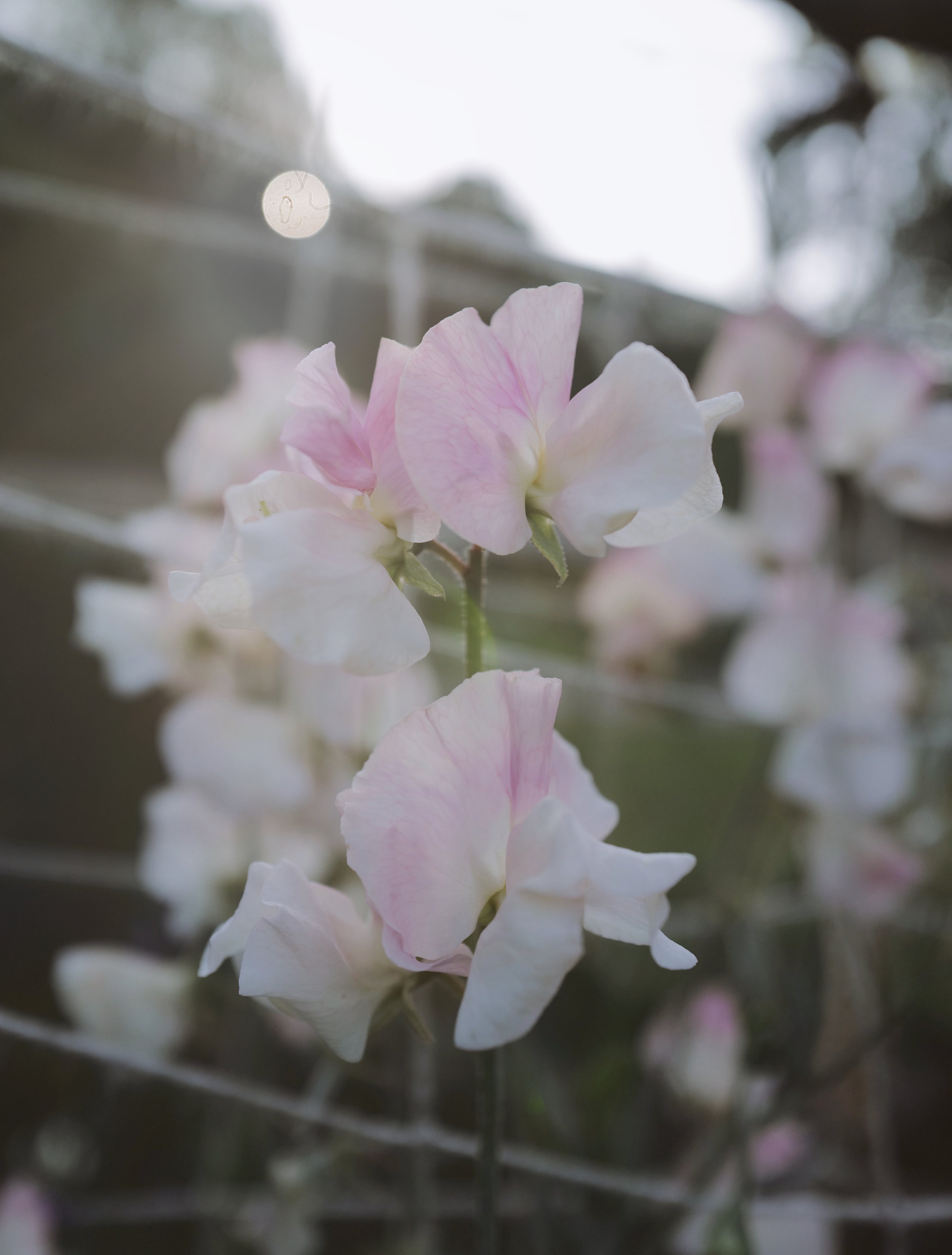 ld-export-9acbe896-08052024.jpeg