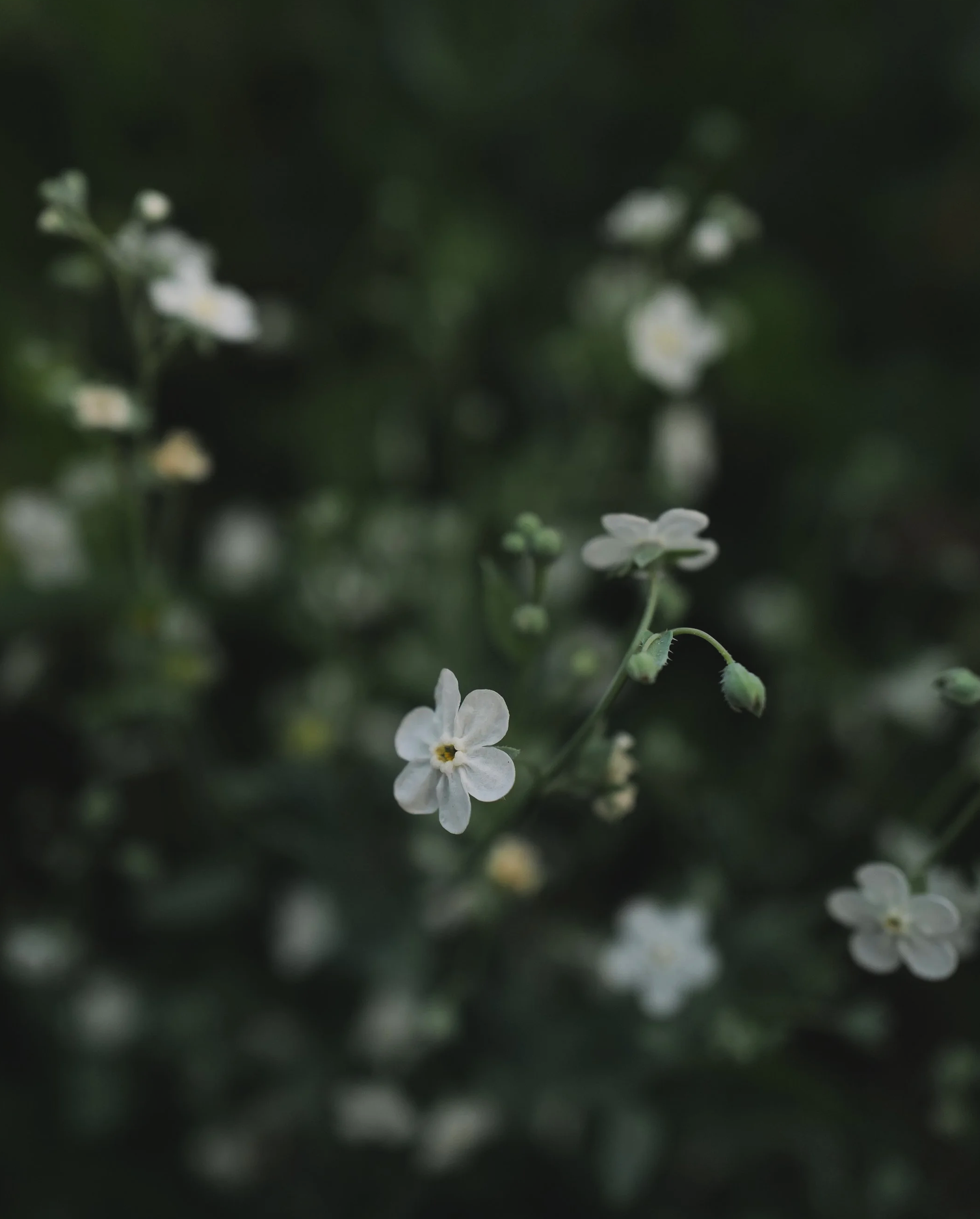L1400170.png