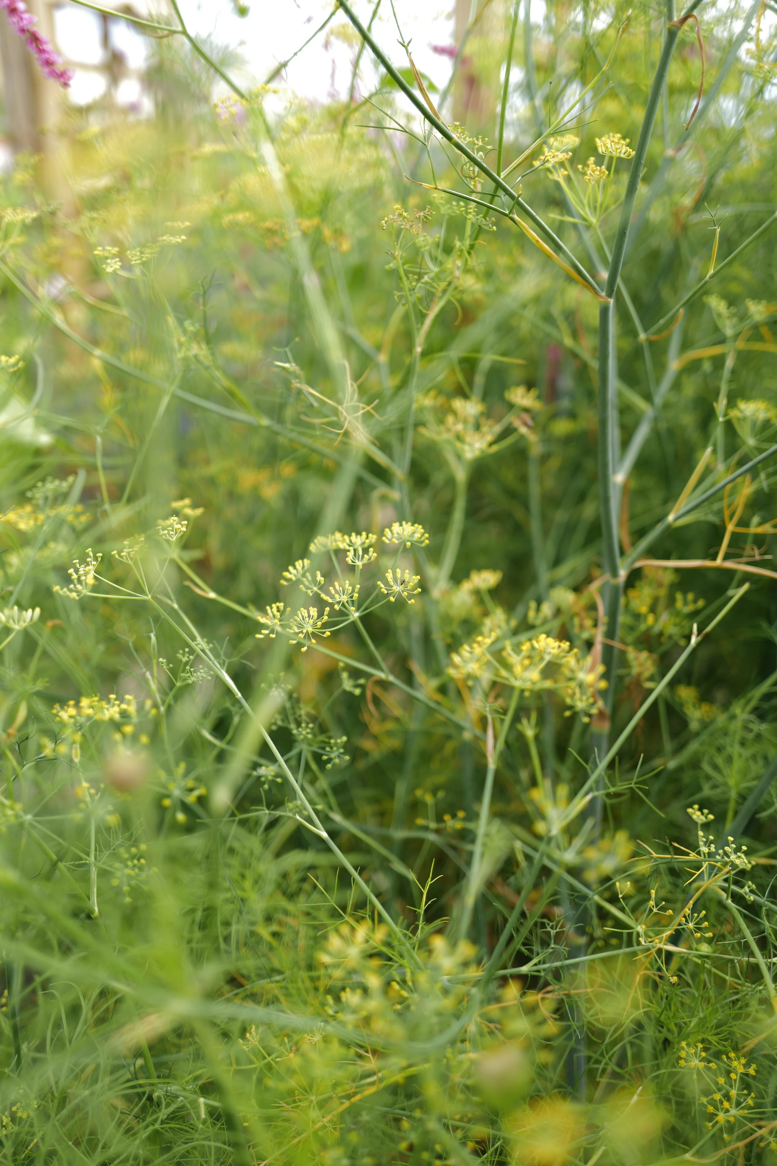 L1570117.JPG