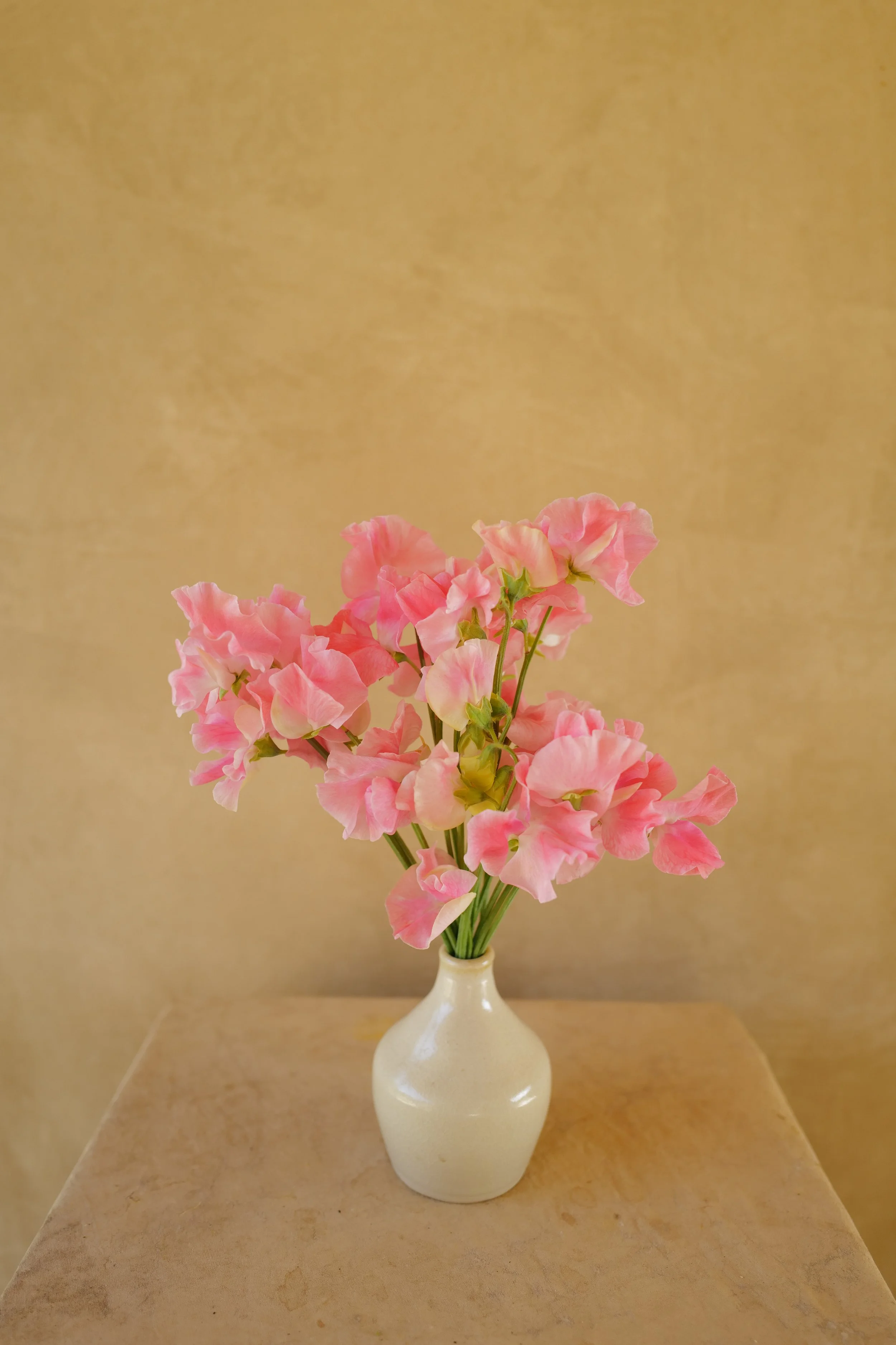 L1520725.JPG