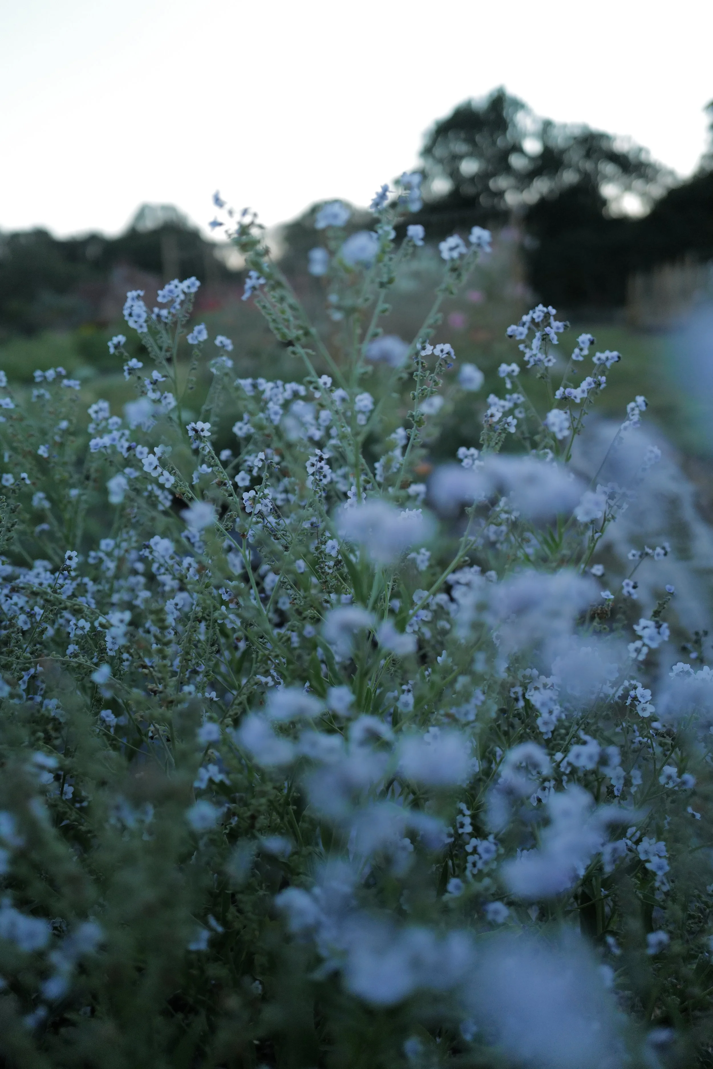 L1580274.JPG