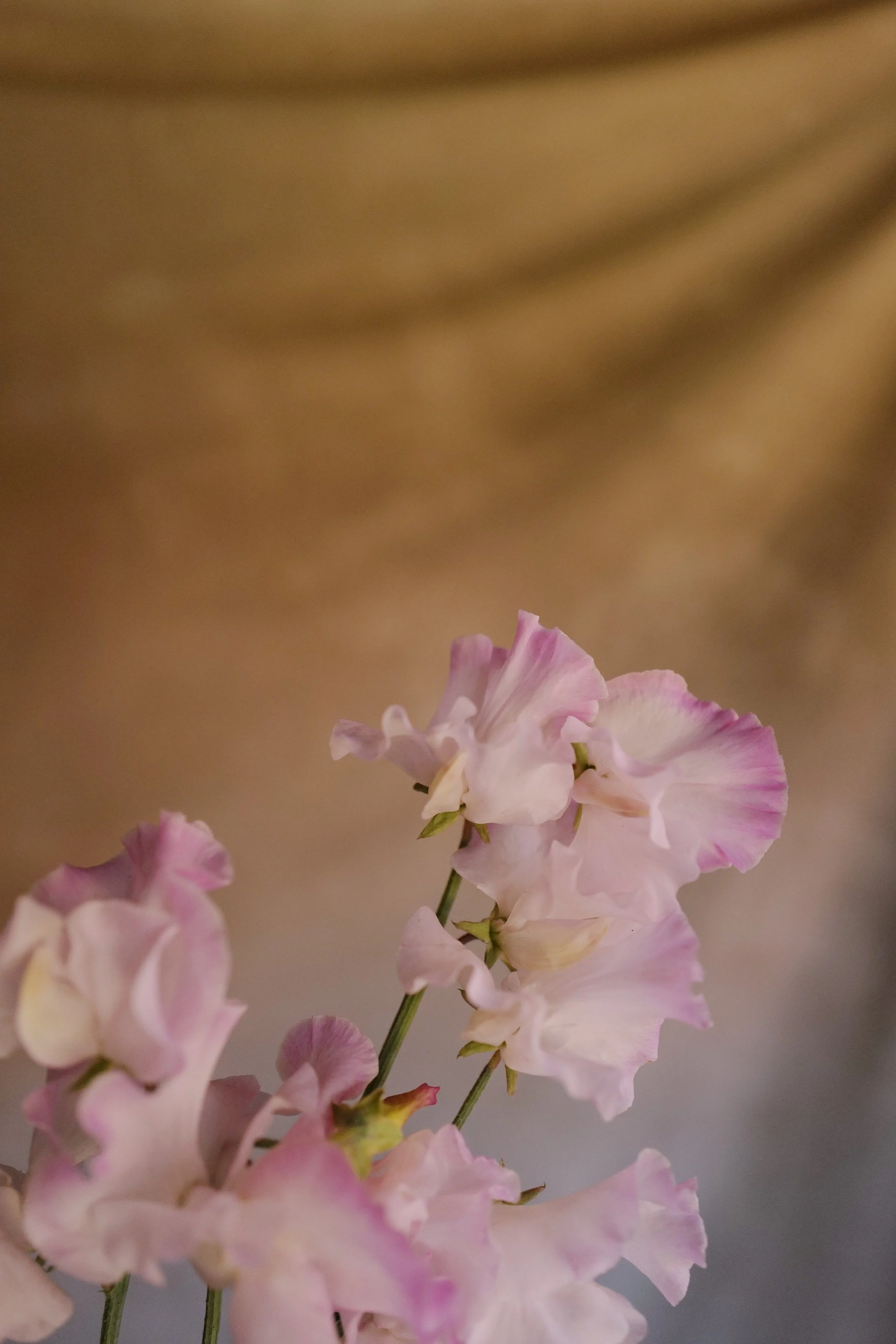 L1420237-VSCO.jpeg