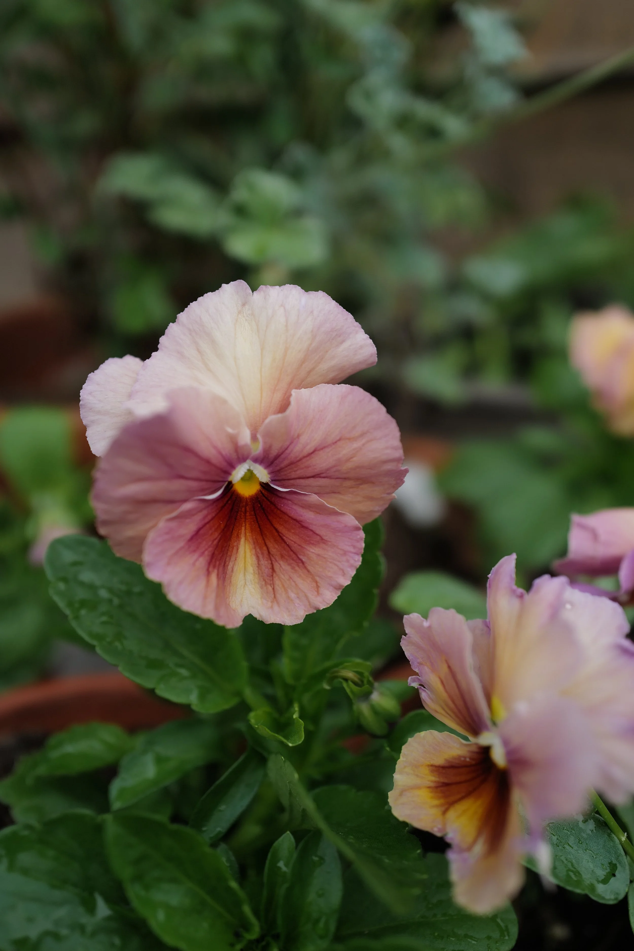 L1440807.JPG