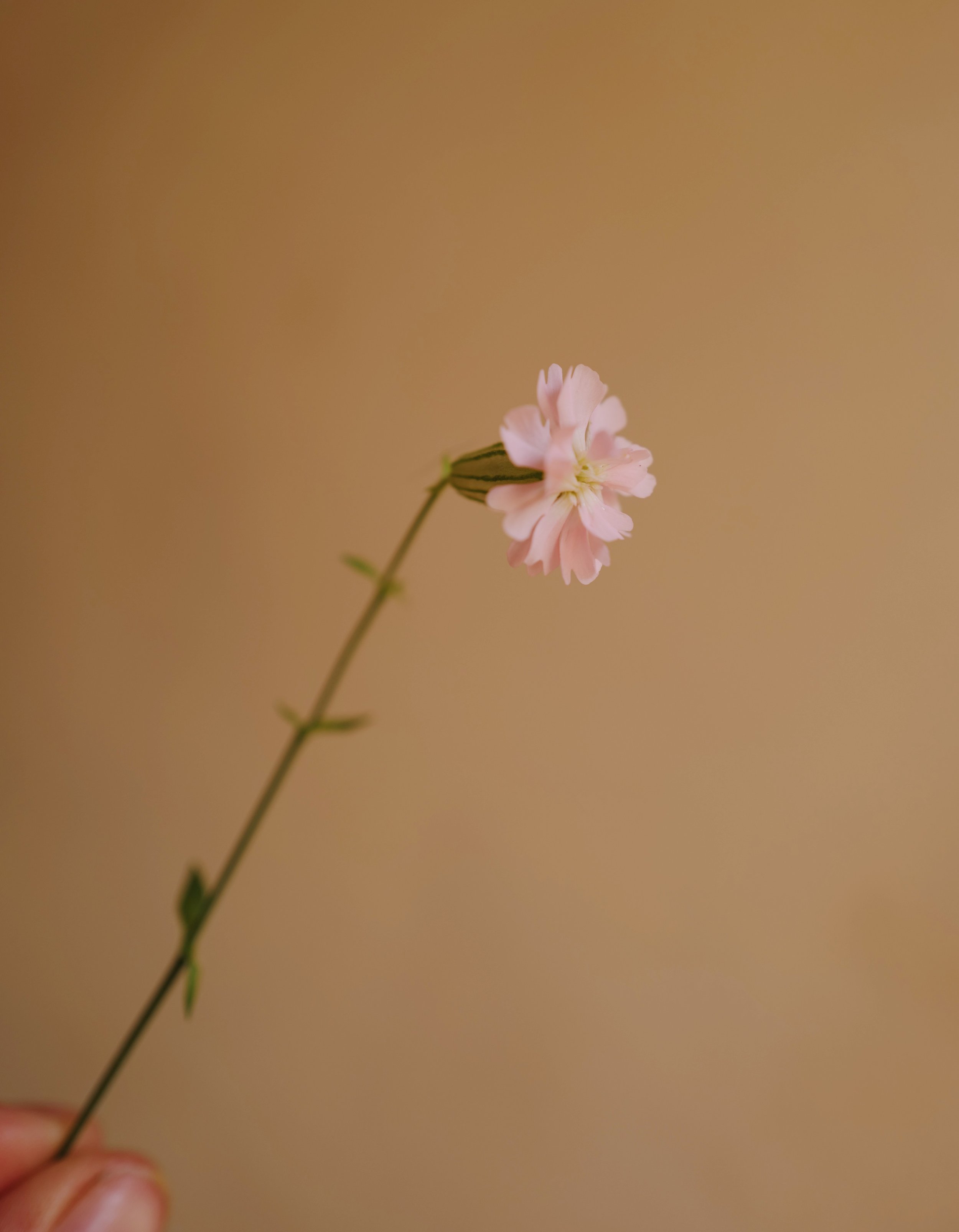 L1320601-VSCO.jpeg