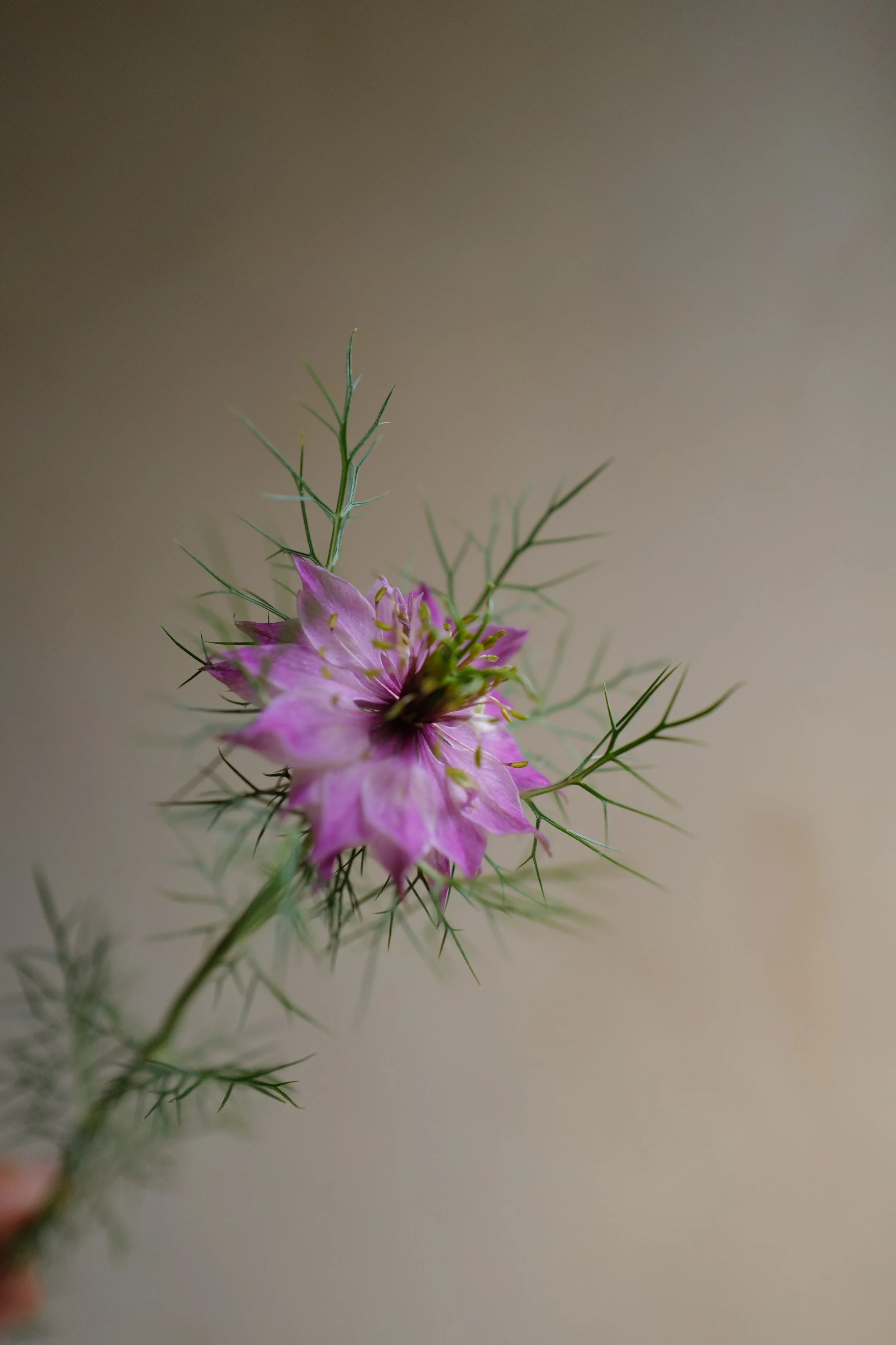 L1440225.JPG